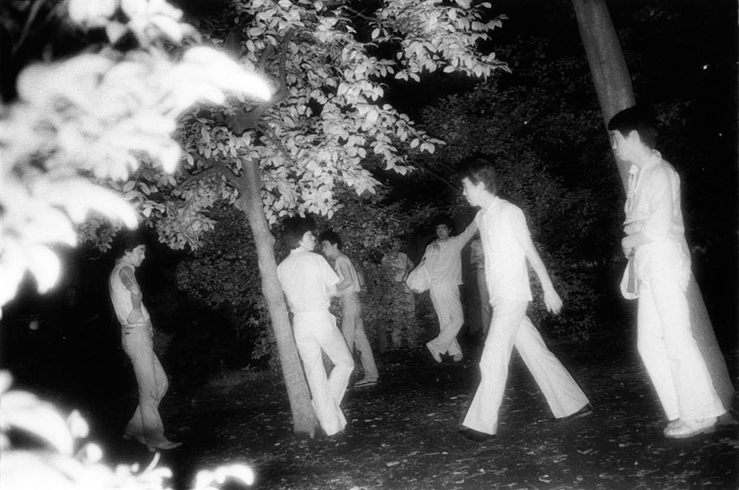 Sex in the park From lurking spectators to a surveillance state
