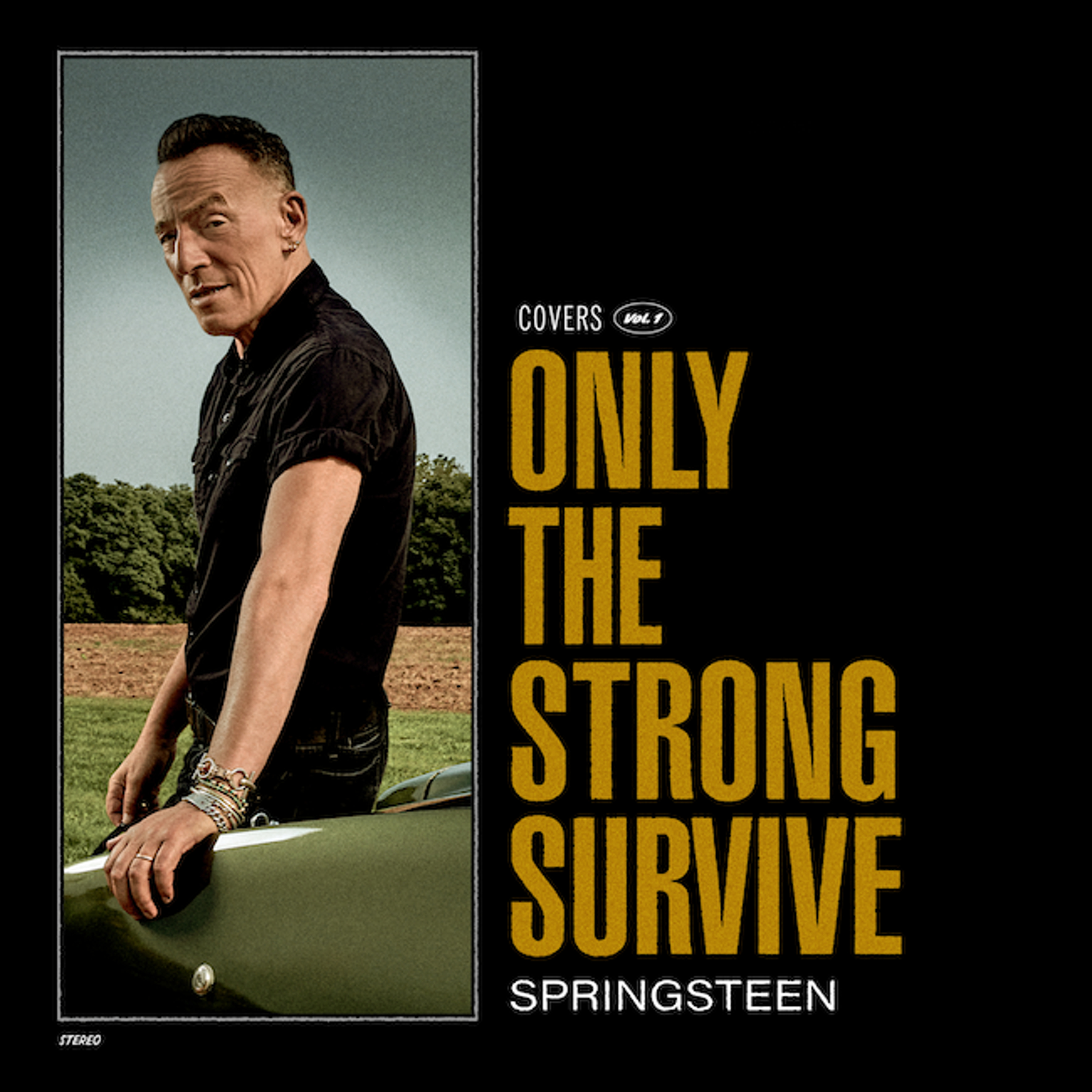 bruce springsteen apple tv