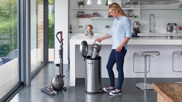 øjenvipper Helligdom Valg Review: Dyson Big Ball Animal is a beast of a cleaner – The Irish Times