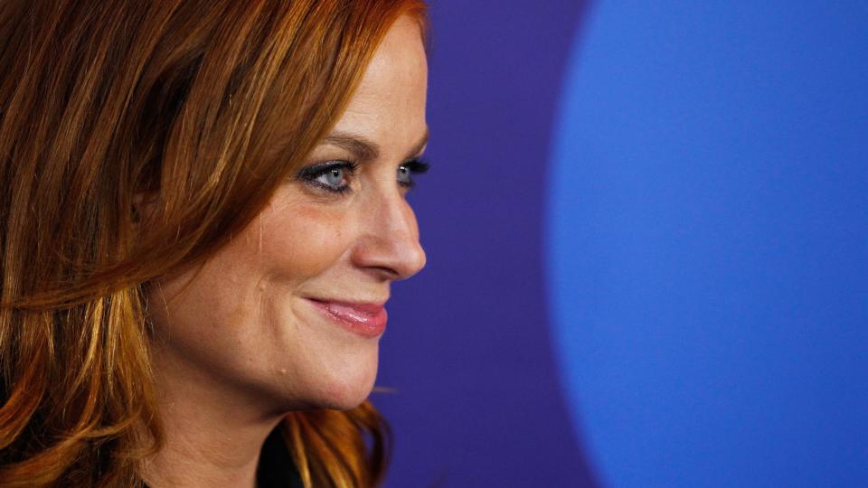 How did Amy Poehler become Hollywood's favourite person? – The Irish Times