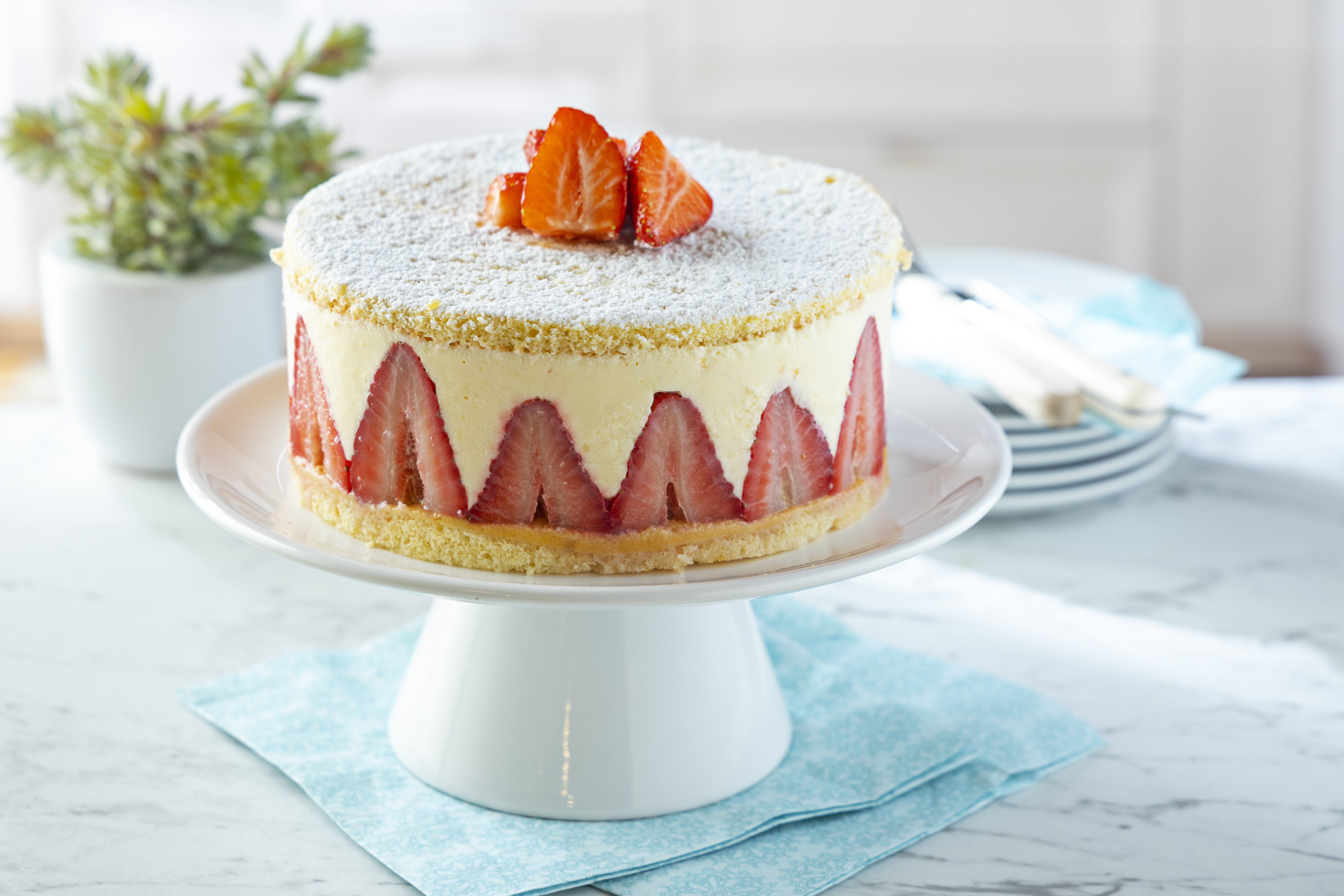 Gluten-Free Strawberry Fraisier Cake Recipe a old fashioned French treat.