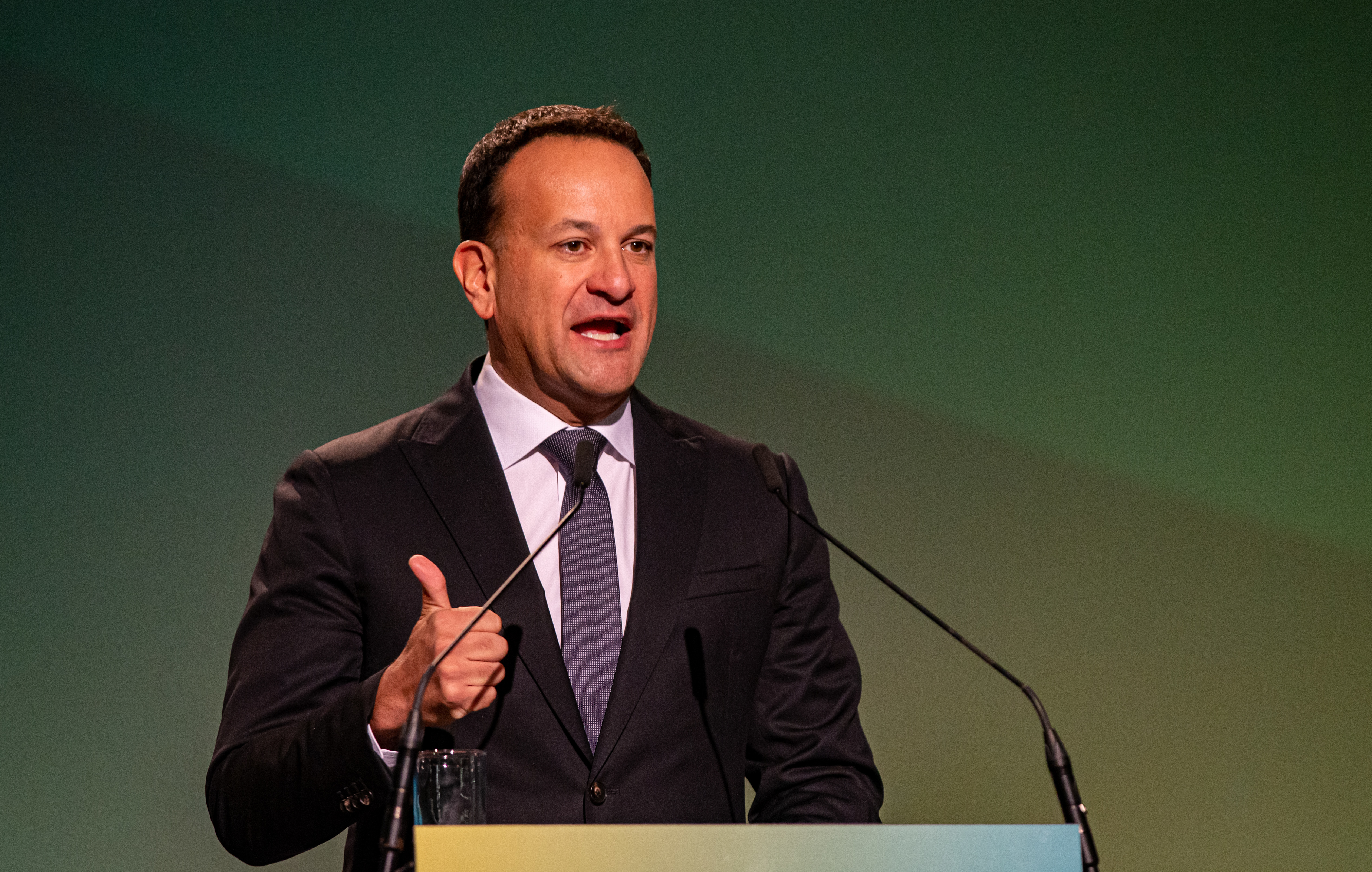 Irish-American relationship forged through emigration – Varadkar