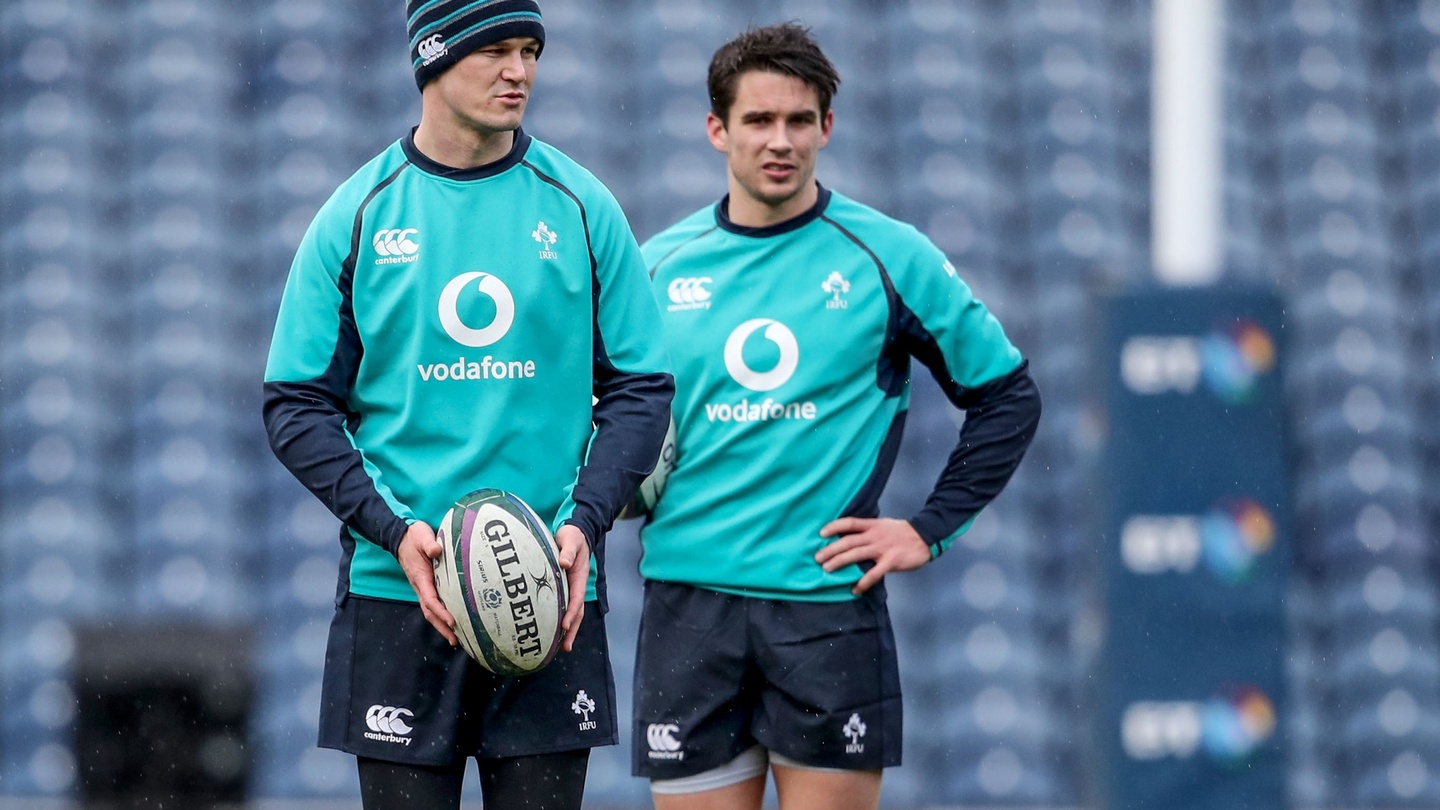 Matt Williams' hilarious reaction to Ireland fans Rugby World Cup poll -  Irish Mirror Online