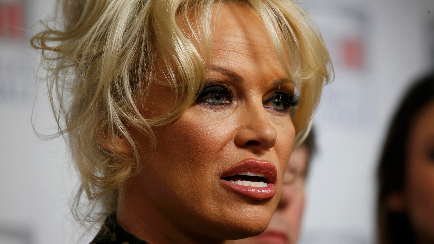 Pamela Anderson urges foie gras ban in French parliament – The Irish Times