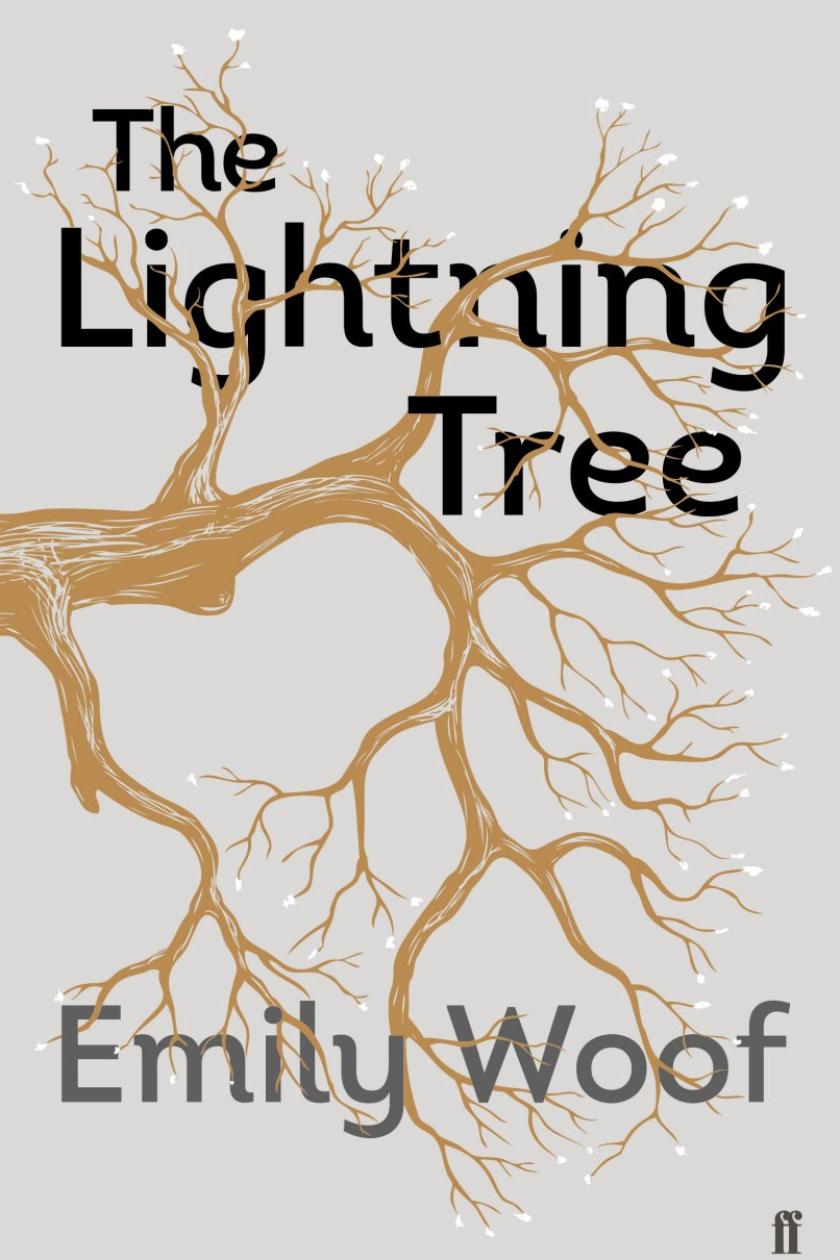 Review: The Lightning Tree, by Emily Woof – The Irish Times