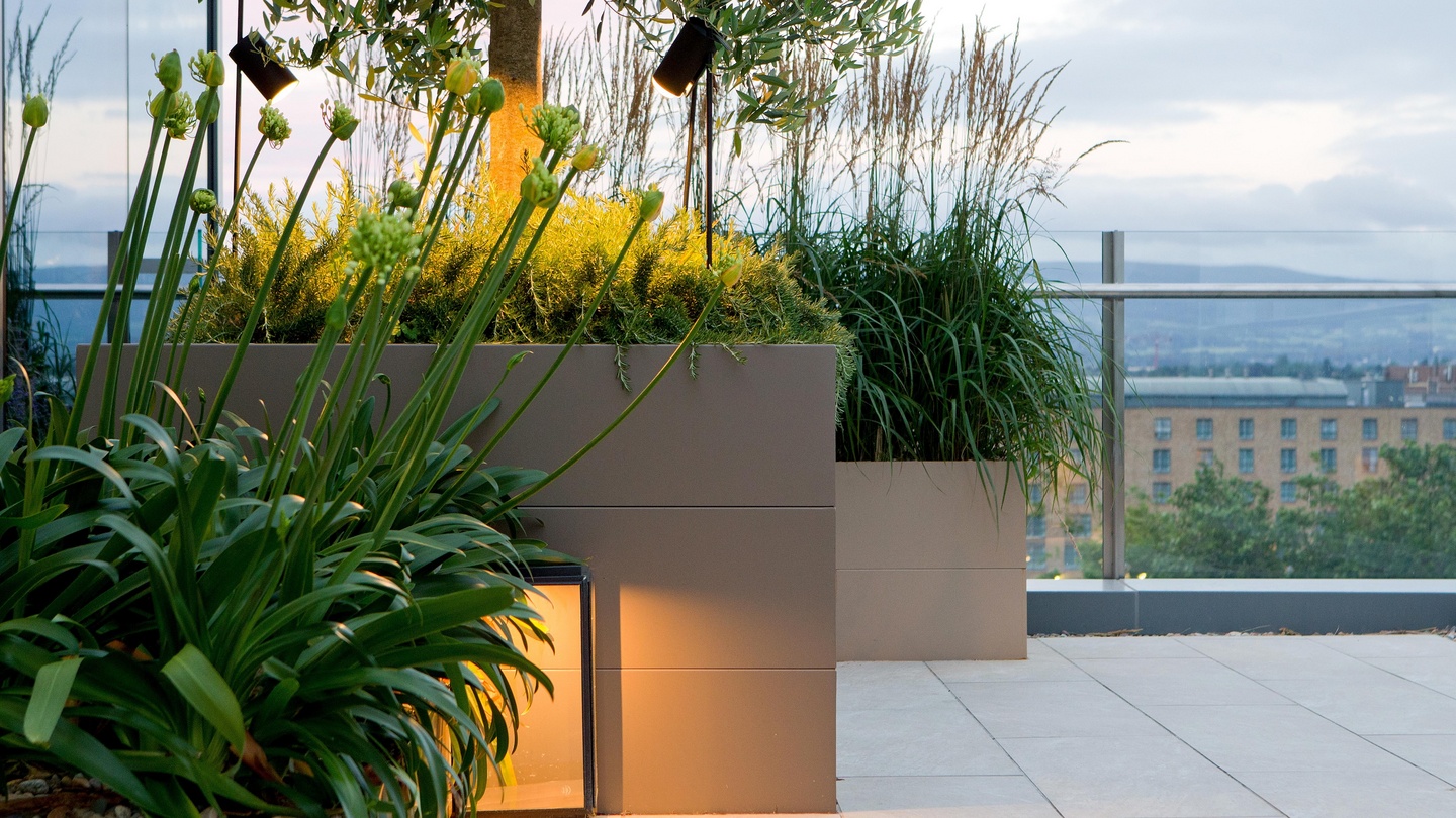 best-plants-for-windy-shady-balcony