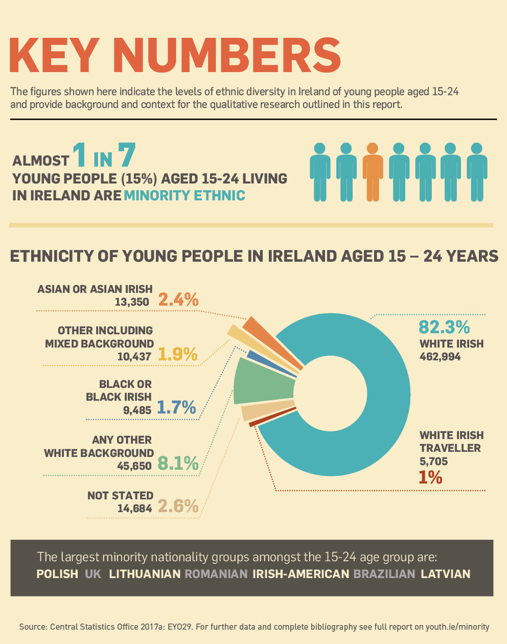 ethnic diversity in ireland