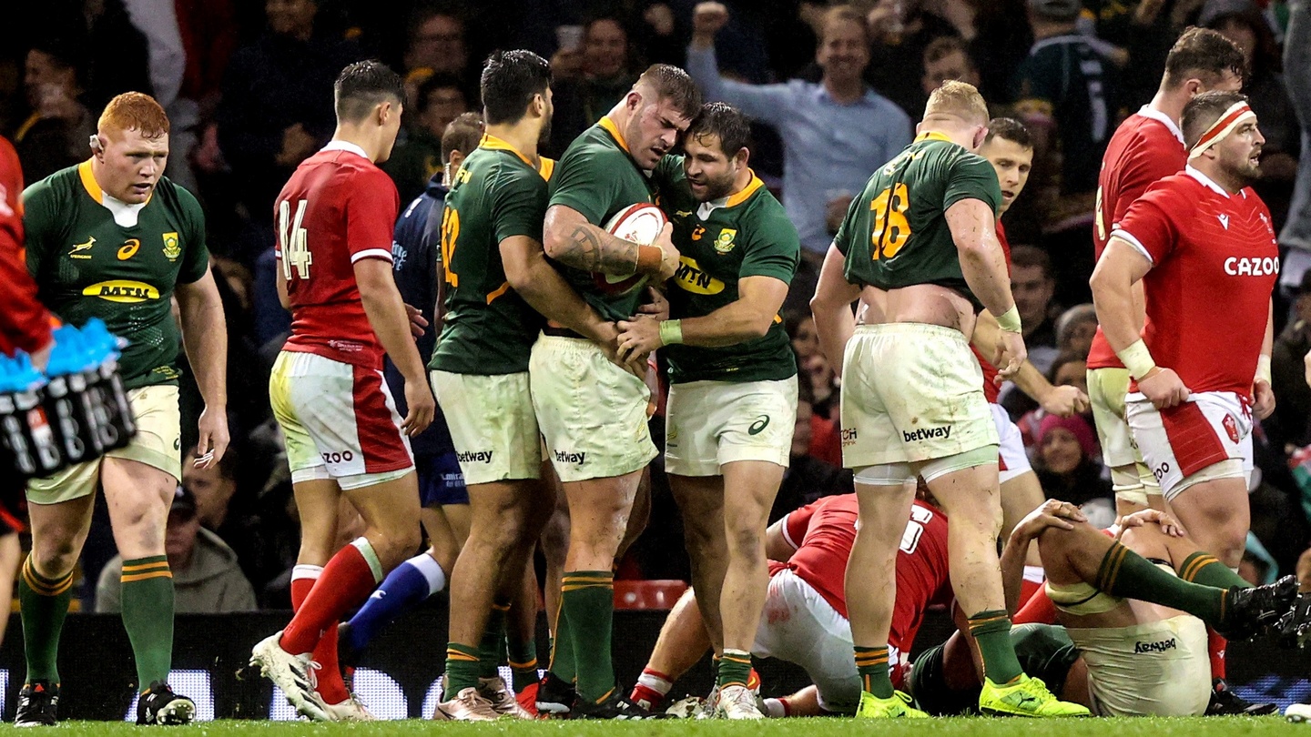 South Africa snatch dramatic late victory to deny Wales in Cardiff