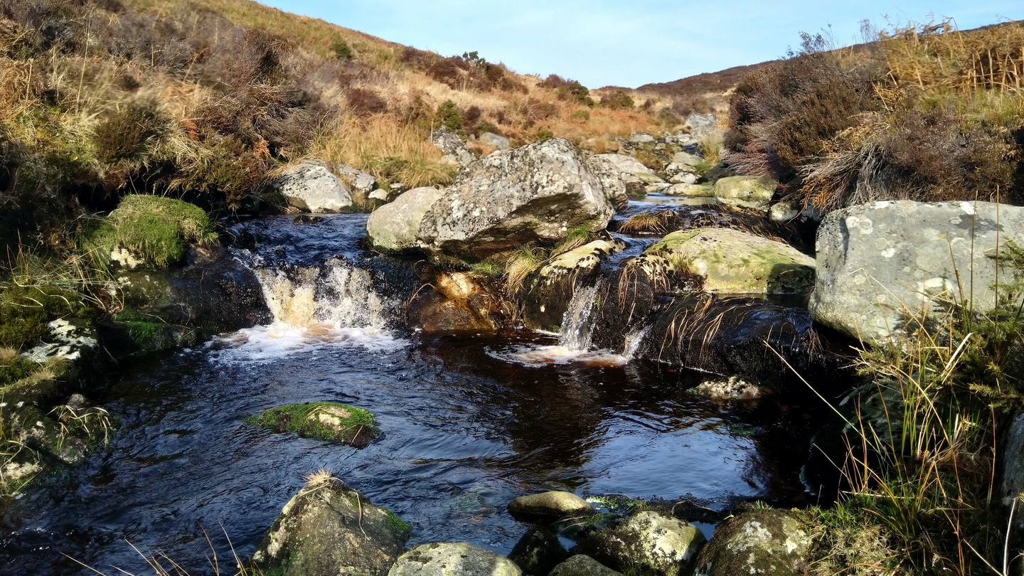 Small streams play a very big role in our clean water and biodiversity – The  Irish Times