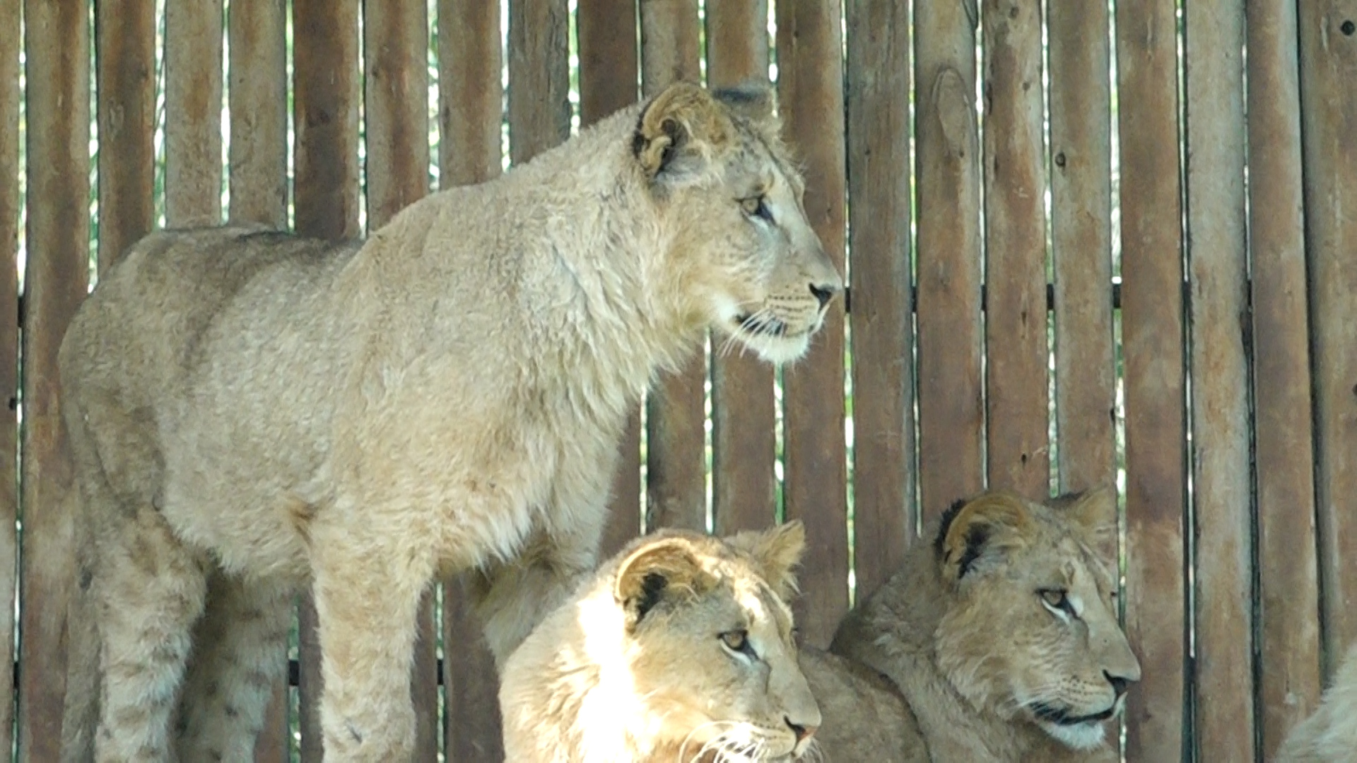 Société | Retrouvez toute l'actualité du Maroc et du monde, en temps réel, sur le premier site d'information francophone au Maroc : www.le360.ma