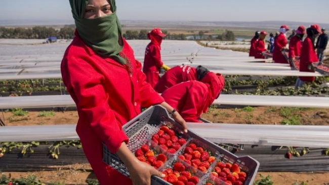 Economie | Retrouvez toute l'actualité du Maroc et du monde, en temps réel, sur le premier site d'information francophone au Maroc : www.le360.ma