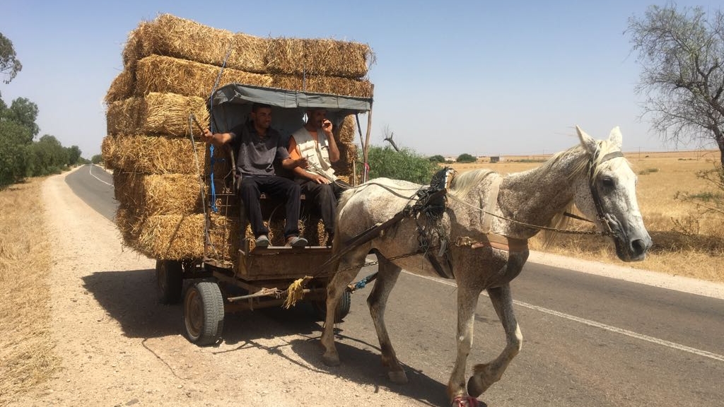 Société | Retrouvez toute l'actualité du Maroc et du monde, en temps réel, sur le premier site d'information francophone au Maroc : www.le360.ma