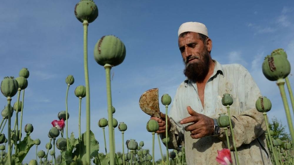 Monde | Retrouvez toute l'actualité du Maroc et du monde, en temps réel, sur le premier site d'information francophone au Maroc : www.le360.ma