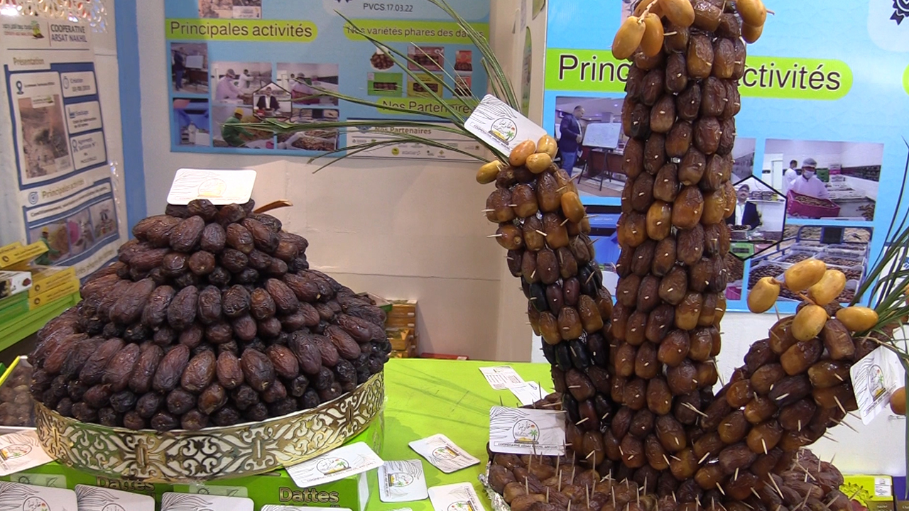 Economie | Retrouvez toute l'actualité du Maroc et du monde, en temps réel, sur le premier site d'information francophone au Maroc : www.le360.ma