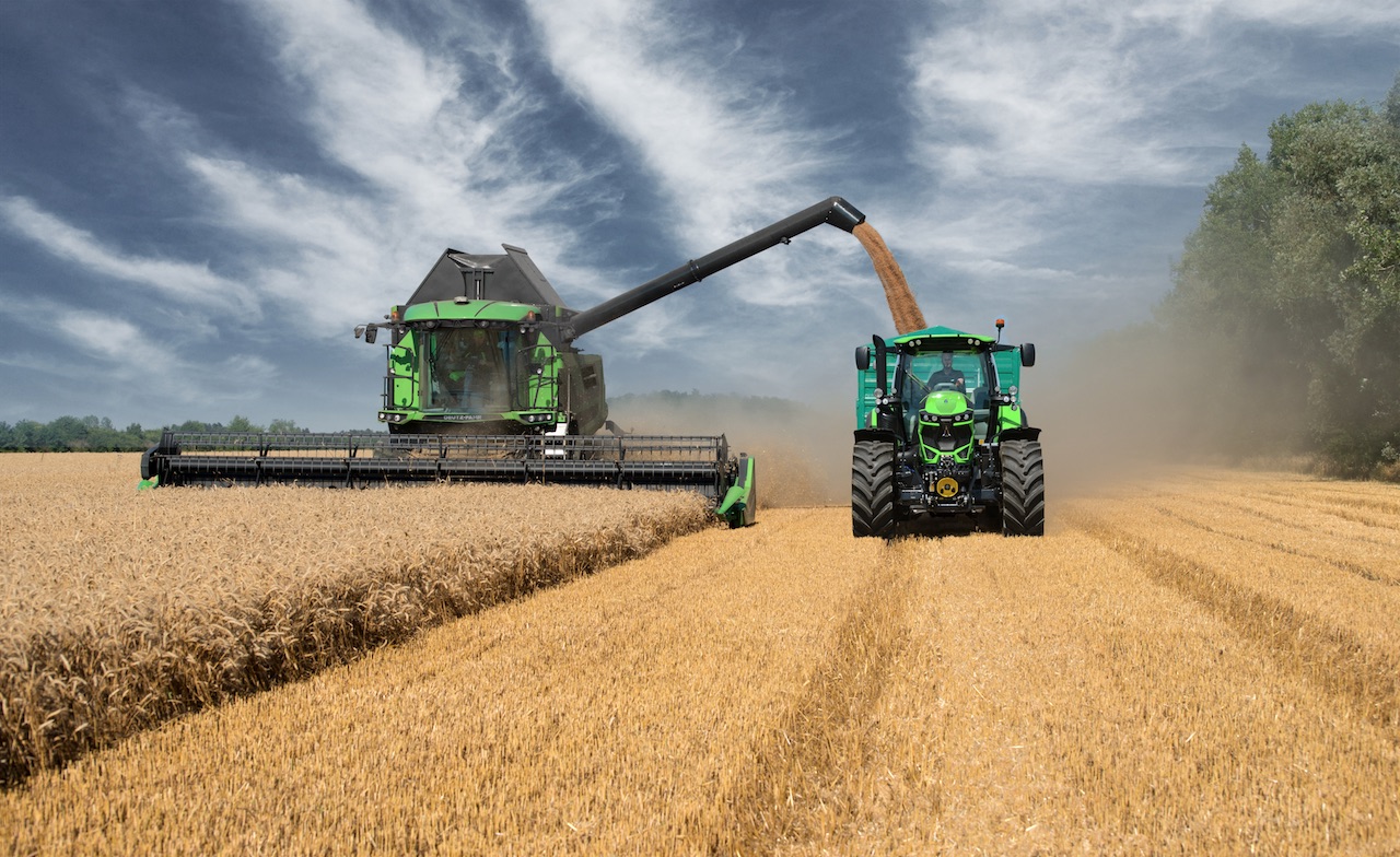 Céréales : le blé russe tire les prix mondiaux vers le bas