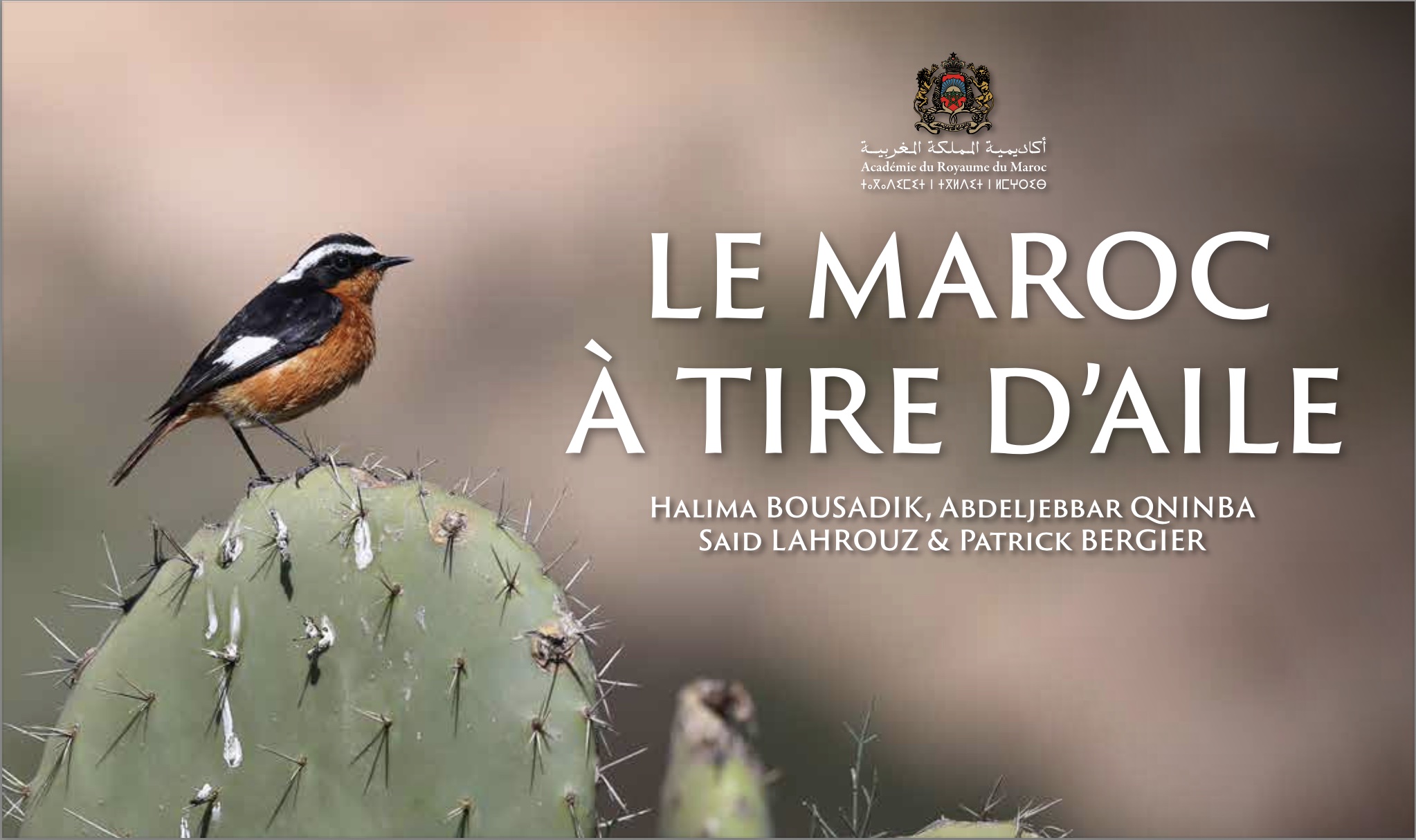 Culture | Retrouvez toute l'actualité du Maroc et du monde, en temps réel, sur le premier site d'information francophone au Maroc : www.le360.ma