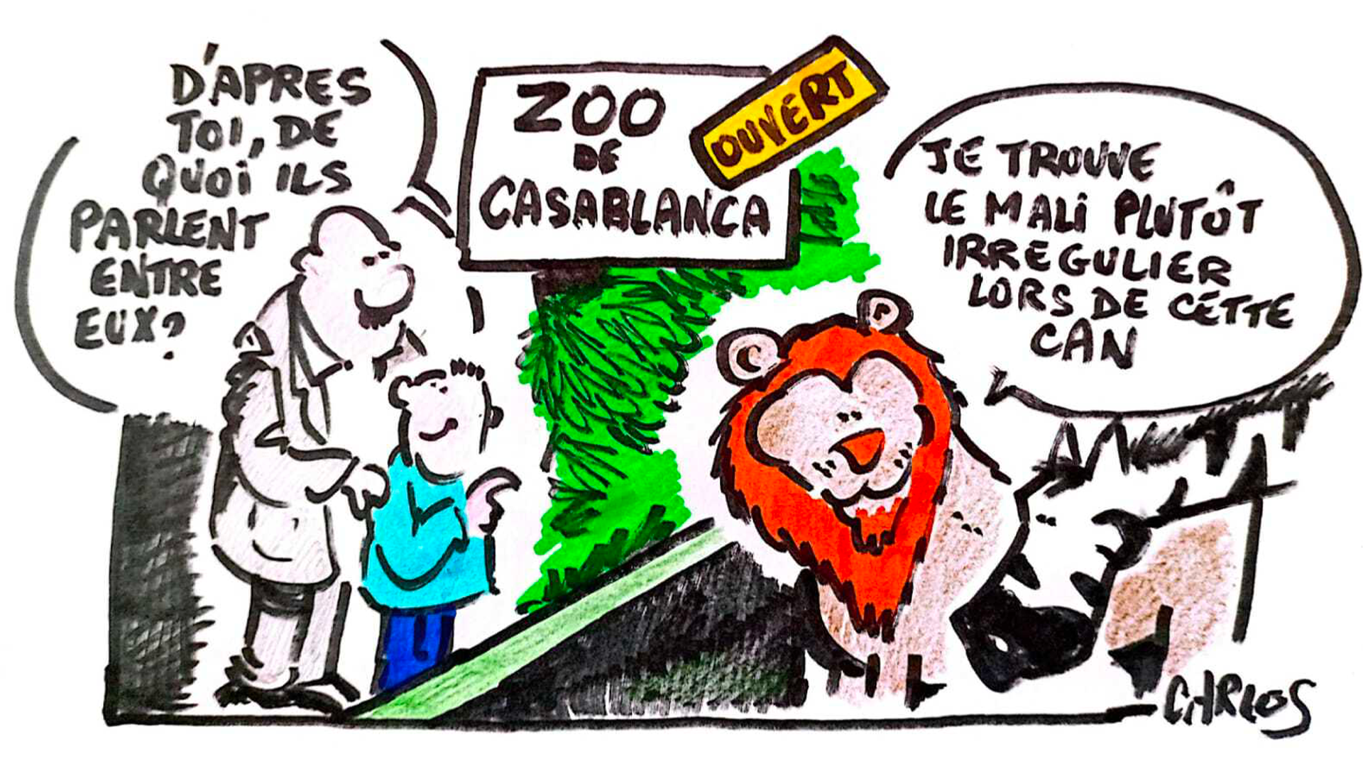 Médias | Retrouvez toute l'actualité du Maroc et du monde, en temps réel, sur le premier site d'information francophone au Maroc : www.le360.ma