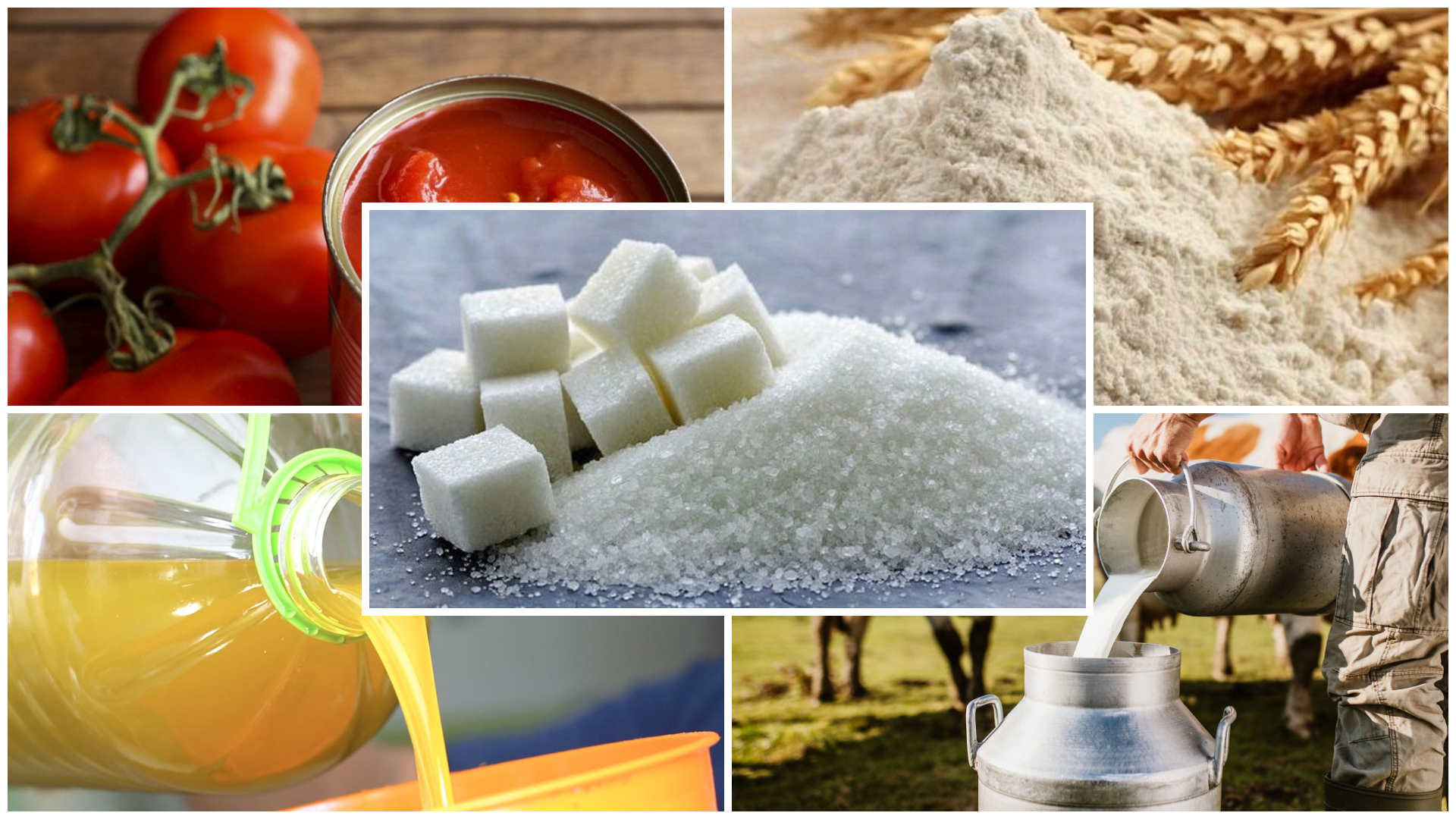 Economie | Retrouvez toute l'actualité du Maroc et du monde, en temps réel, sur le premier site d'information francophone au Maroc : www.le360.ma