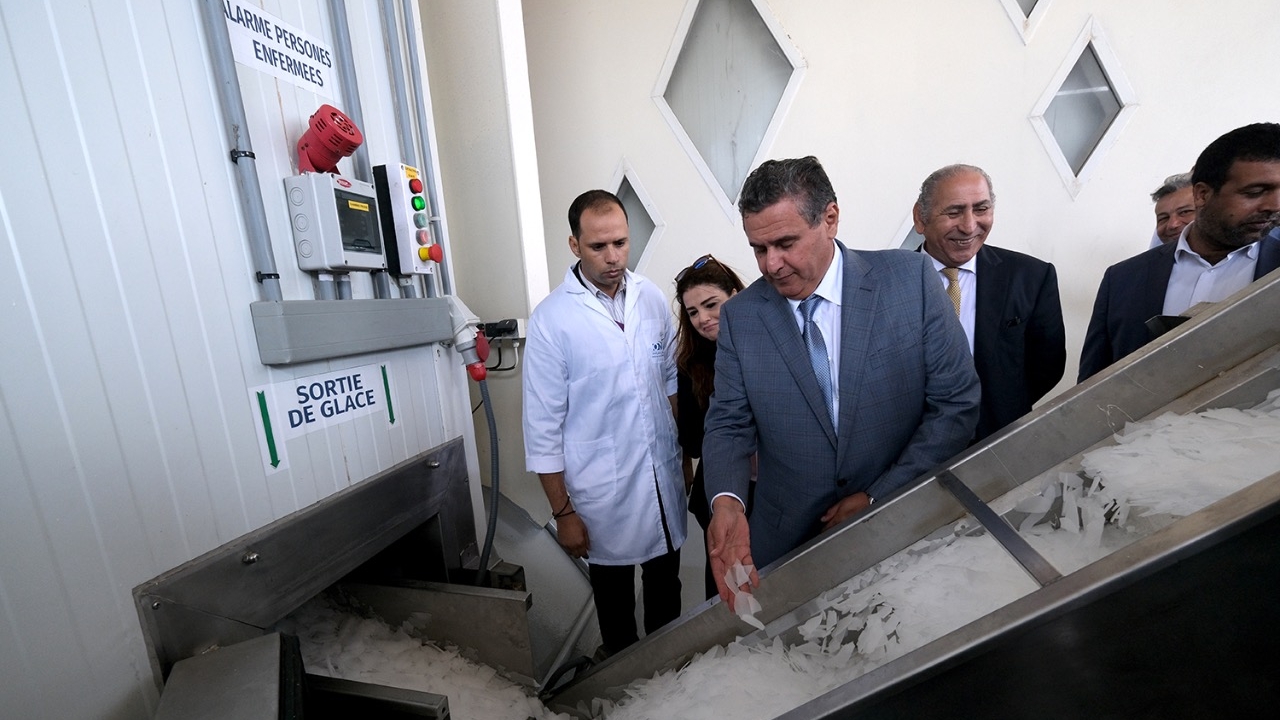 Lors de visites de projets d'investissement privé dans l'aquaculture effectués par Akhannouch à Dakhla.
