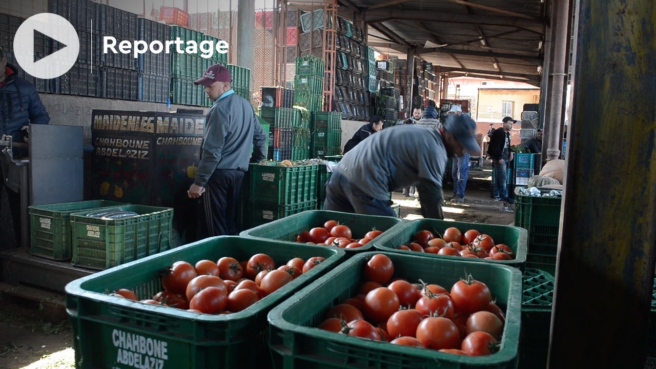 Economie | Retrouvez toute l'actualité du Maroc et du monde, en temps réel, sur le premier site d'information francophone au Maroc : www.le360.ma