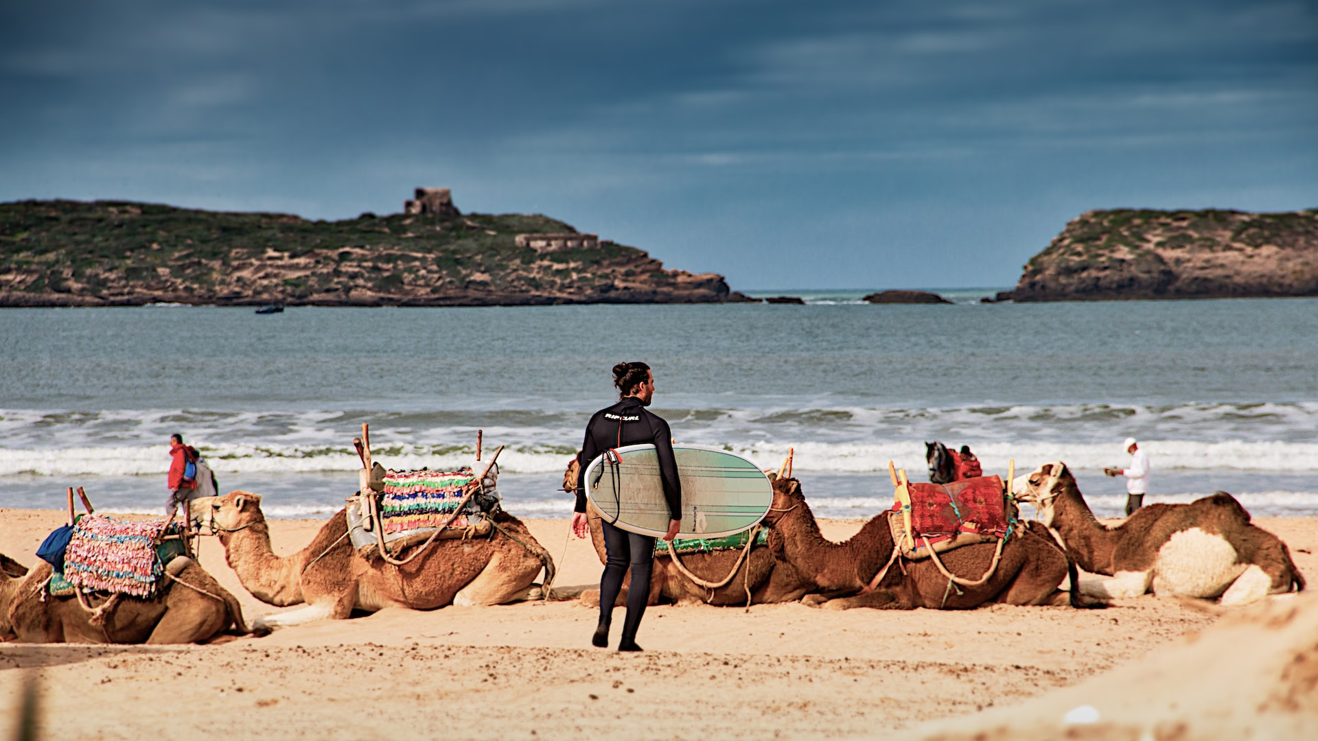 Société | Retrouvez toute l'actualité du Maroc et du monde, en temps réel, sur le premier site d'information francophone au Maroc : www.le360.ma