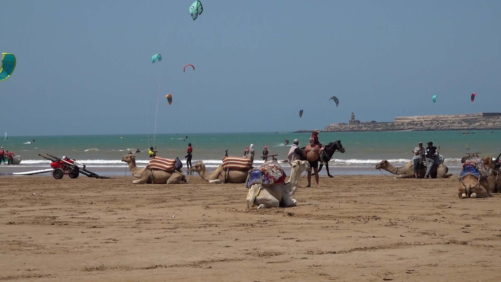 Société | Retrouvez toute l'actualité du Maroc et du monde, en temps réel, sur le premier site d'information francophone au Maroc : www.le360.ma