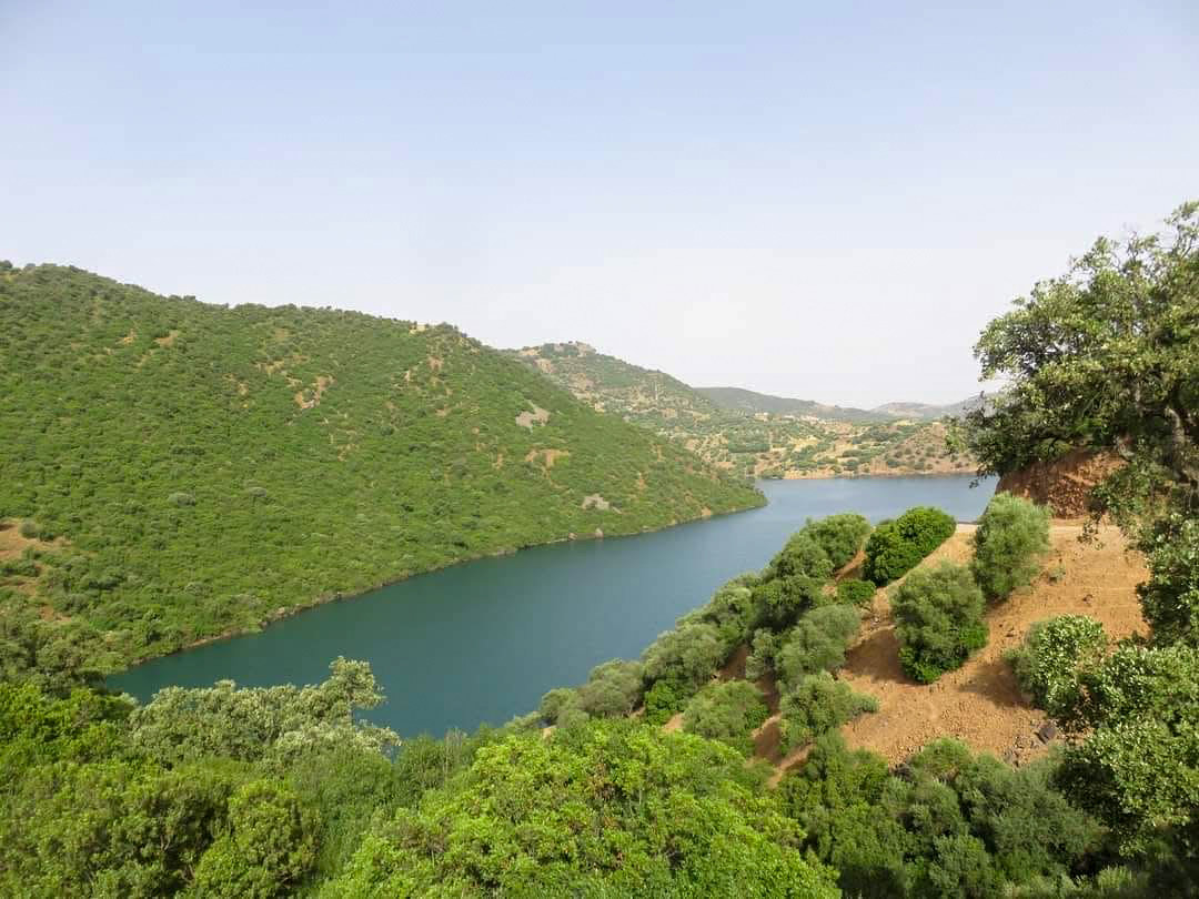 Société | Retrouvez toute l'actualité du Maroc et du monde, en temps réel, sur le premier site d'information francophone au Maroc : www.le360.ma