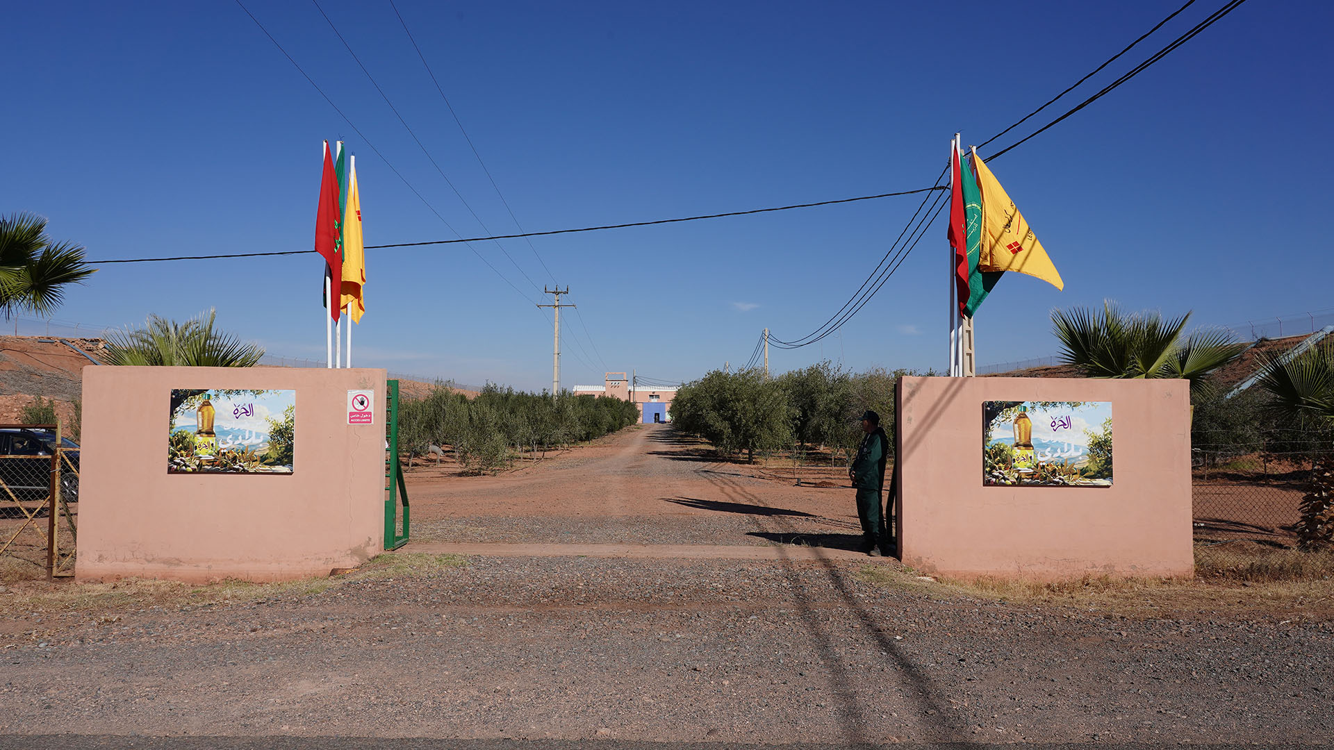 Economie | Retrouvez toute l'actualité du Maroc et du monde, en temps réel, sur le premier site d'information francophone au Maroc : www.le360.ma