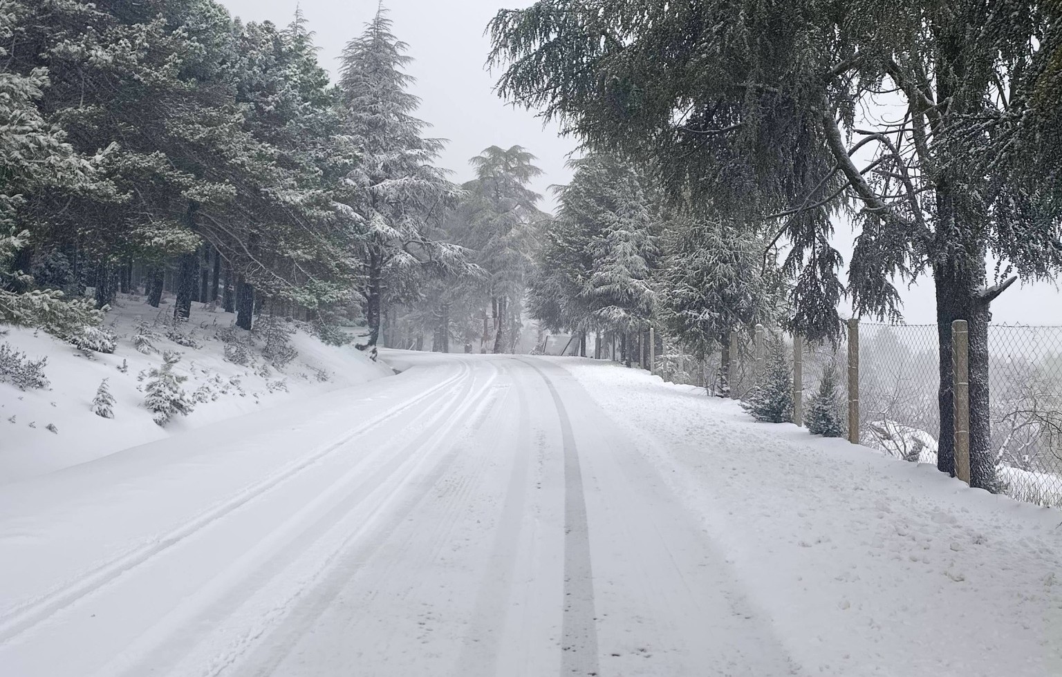 Société | Retrouvez toute l'actualité du Maroc et du monde, en temps réel, sur le premier site d'information francophone au Maroc : www.le360.ma