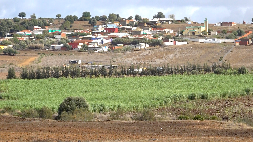 Economie | Retrouvez toute l'actualité du Maroc et du monde, en temps réel, sur le premier site d'information francophone au Maroc : www.le360.ma
