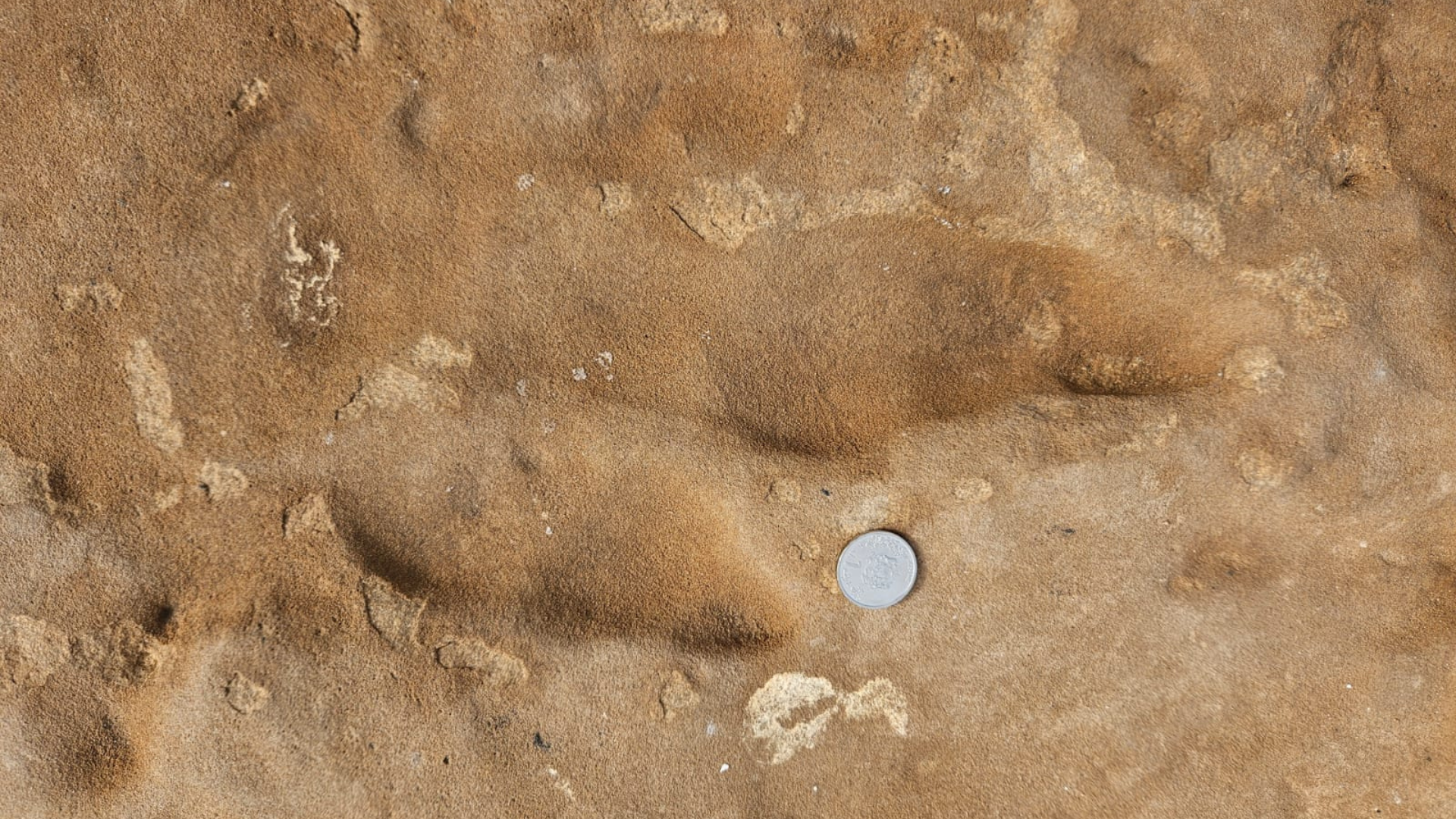 Culture | Retrouvez toute l'actualité du Maroc et du monde, en temps réel, sur le premier site d'information francophone au Maroc : www.le360.ma