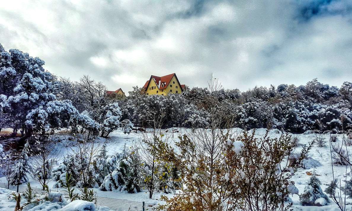 Société | Retrouvez toute l'actualité du Maroc et du monde, en temps réel, sur le premier site d'information francophone au Maroc : www.le360.ma