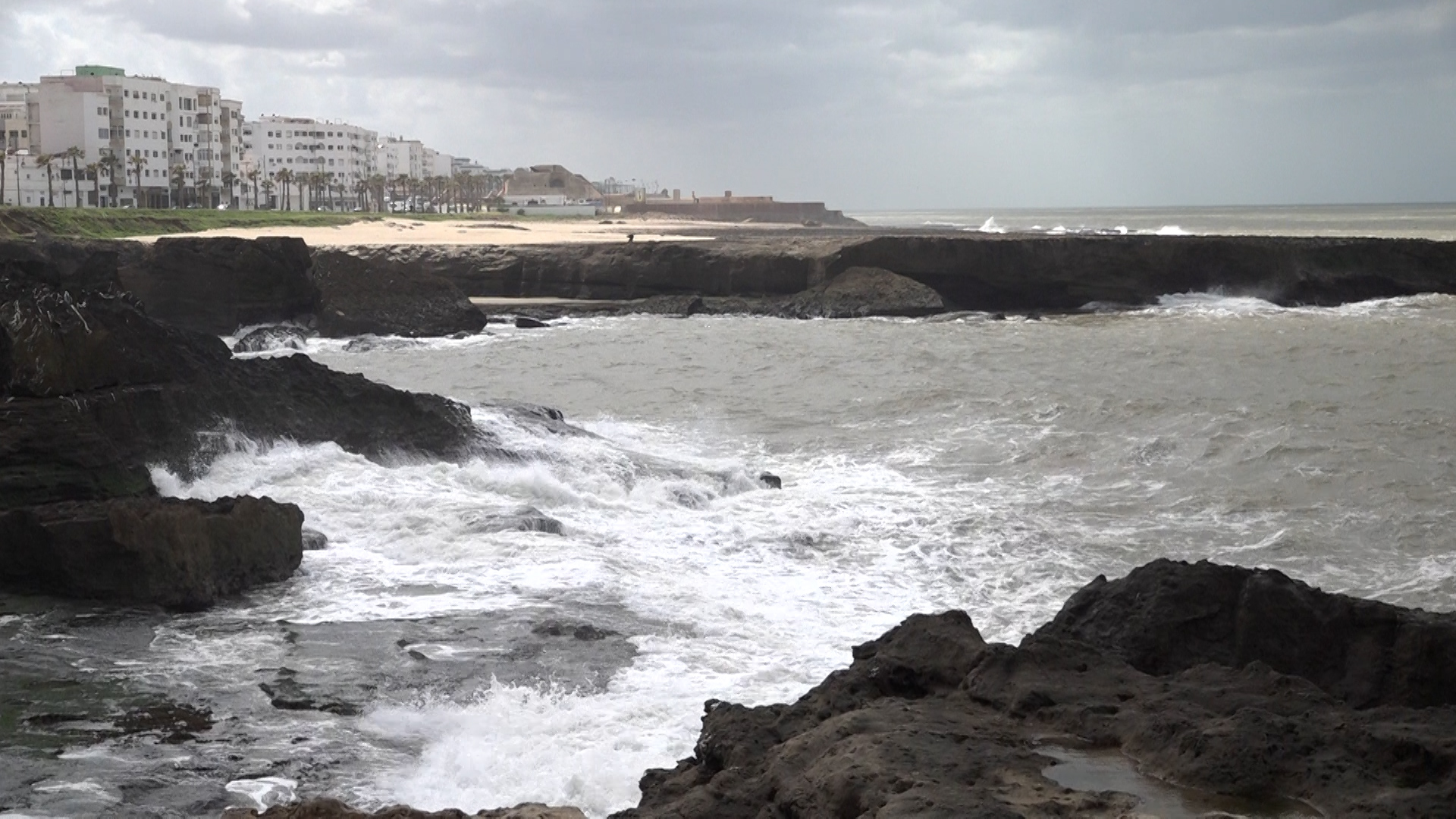 Société | Retrouvez toute l'actualité du Maroc et du monde, en temps réel, sur le premier site d'information francophone au Maroc : www.le360.ma