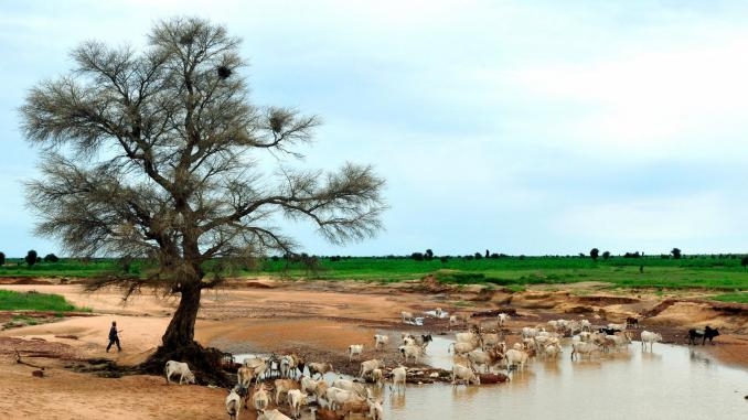 Monde | Retrouvez toute l'actualité du Maroc et du monde, en temps réel, sur le premier site d'information francophone au Maroc : www.le360.ma