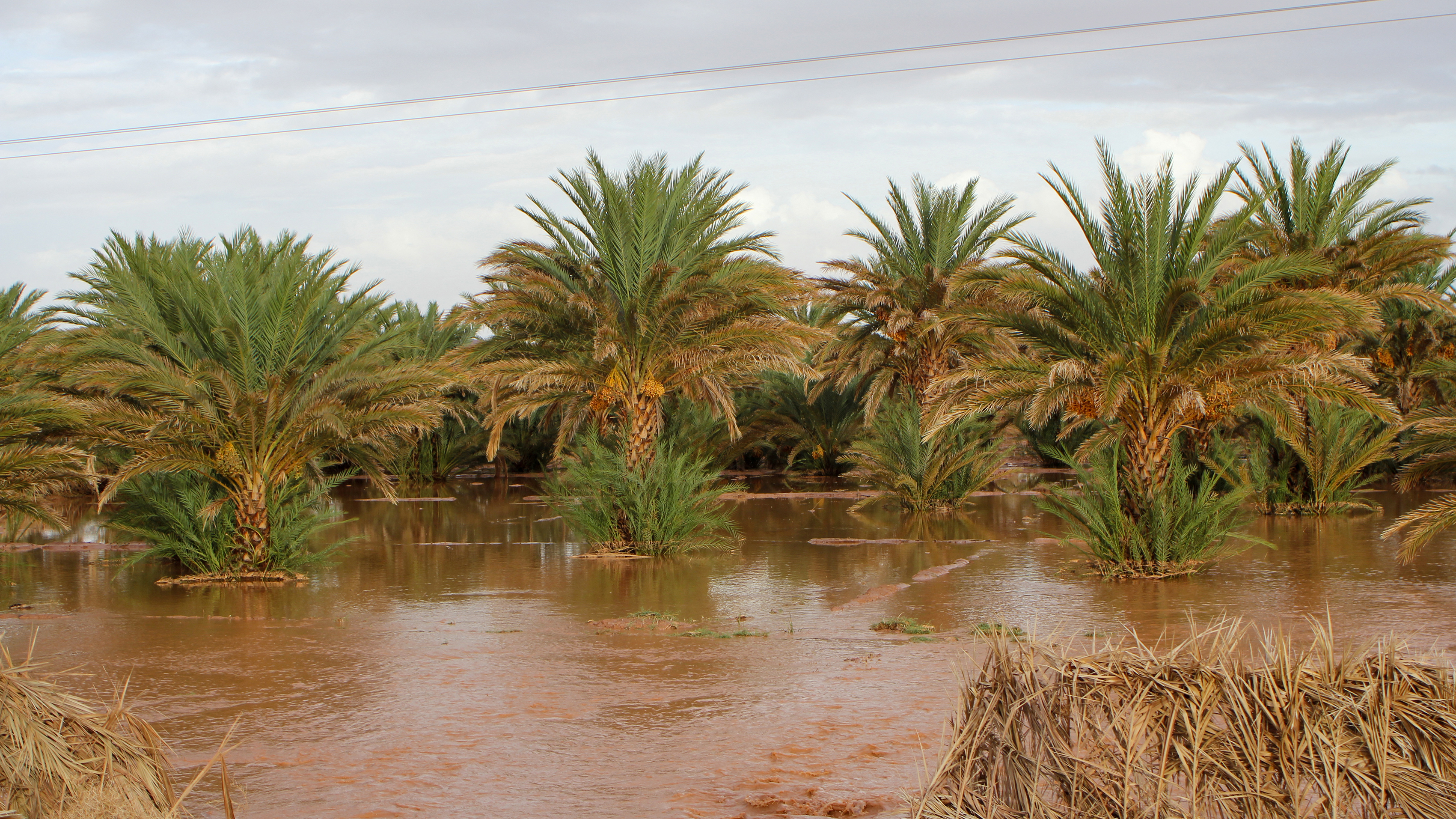 Société | Retrouvez toute l'actualité du Maroc et du monde, en temps réel, sur le premier site d'information francophone au Maroc : www.le360.ma