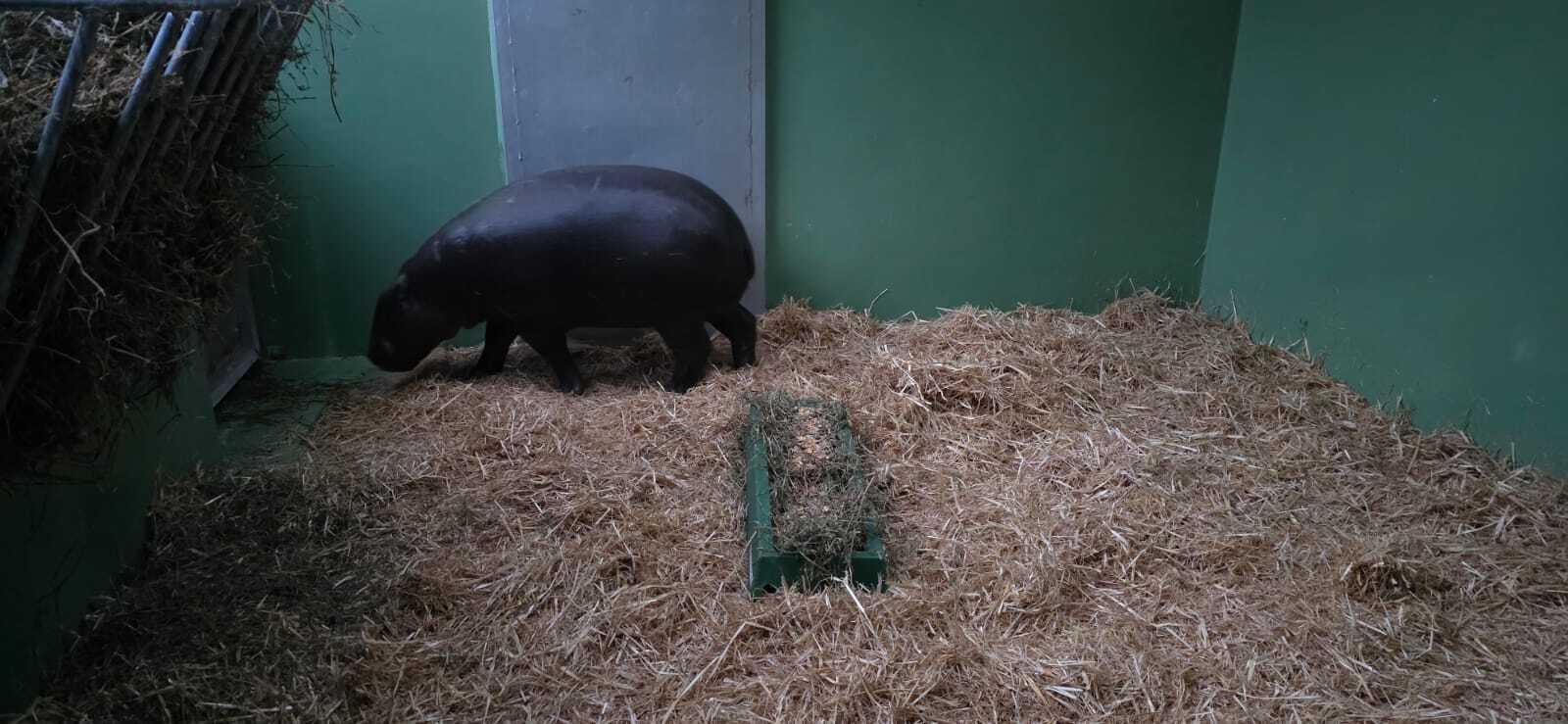 Société | Retrouvez toute l'actualité du Maroc et du monde, en temps réel, sur le premier site d'information francophone au Maroc : www.le360.ma