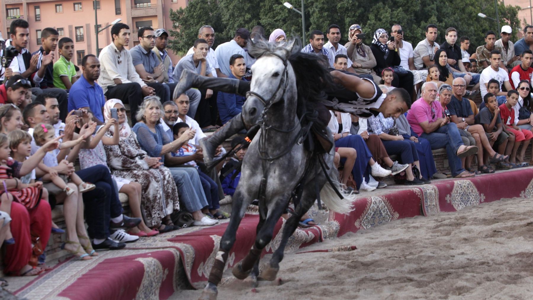 Rédoine El Haoussa: un passionné de chevaux, le roi de la voltige, un merveilleux faiseur de rêves. 
