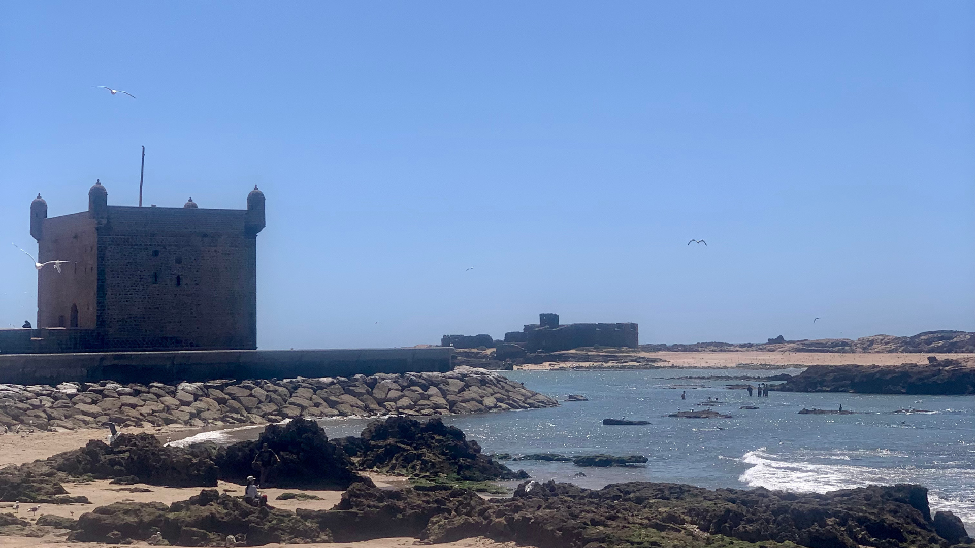 Société | Retrouvez toute l'actualité du Maroc et du monde, en temps réel, sur le premier site d'information francophone au Maroc : www.le360.ma