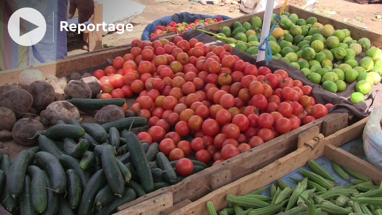 Monde | Retrouvez toute l'actualité du Maroc et du monde, en temps réel, sur le premier site d'information francophone au Maroc : www.le360.ma