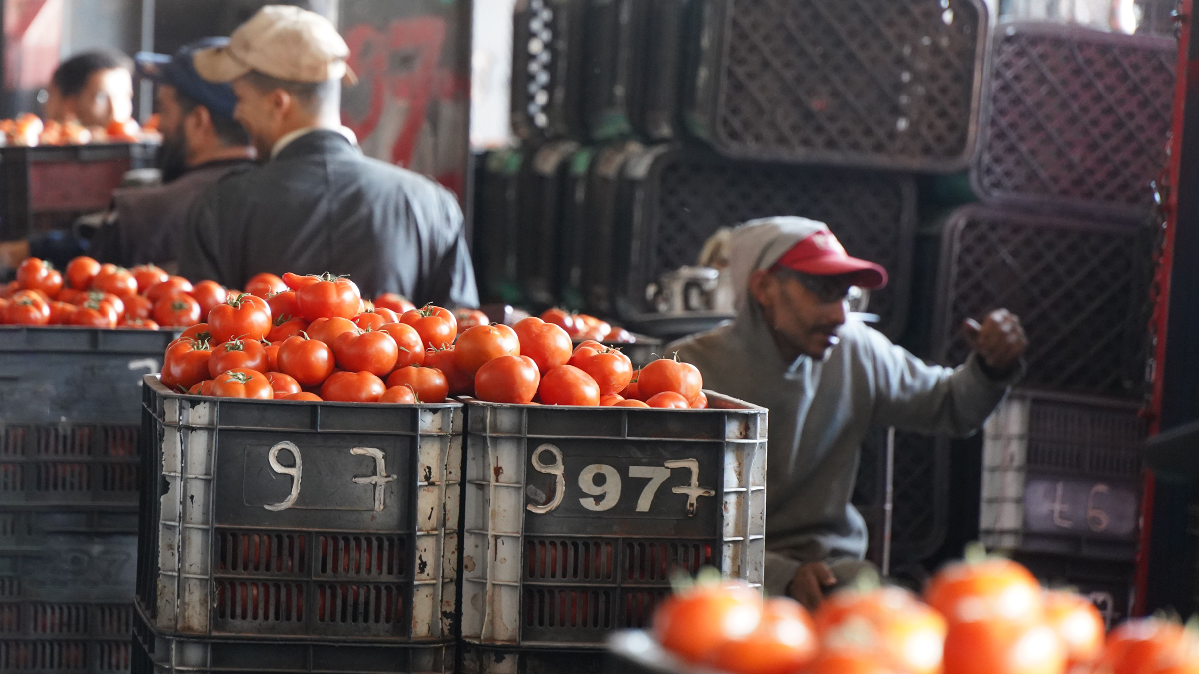 Economie | Retrouvez toute l'actualité du Maroc et du monde, en temps réel, sur le premier site d'information francophone au Maroc : www.le360.ma