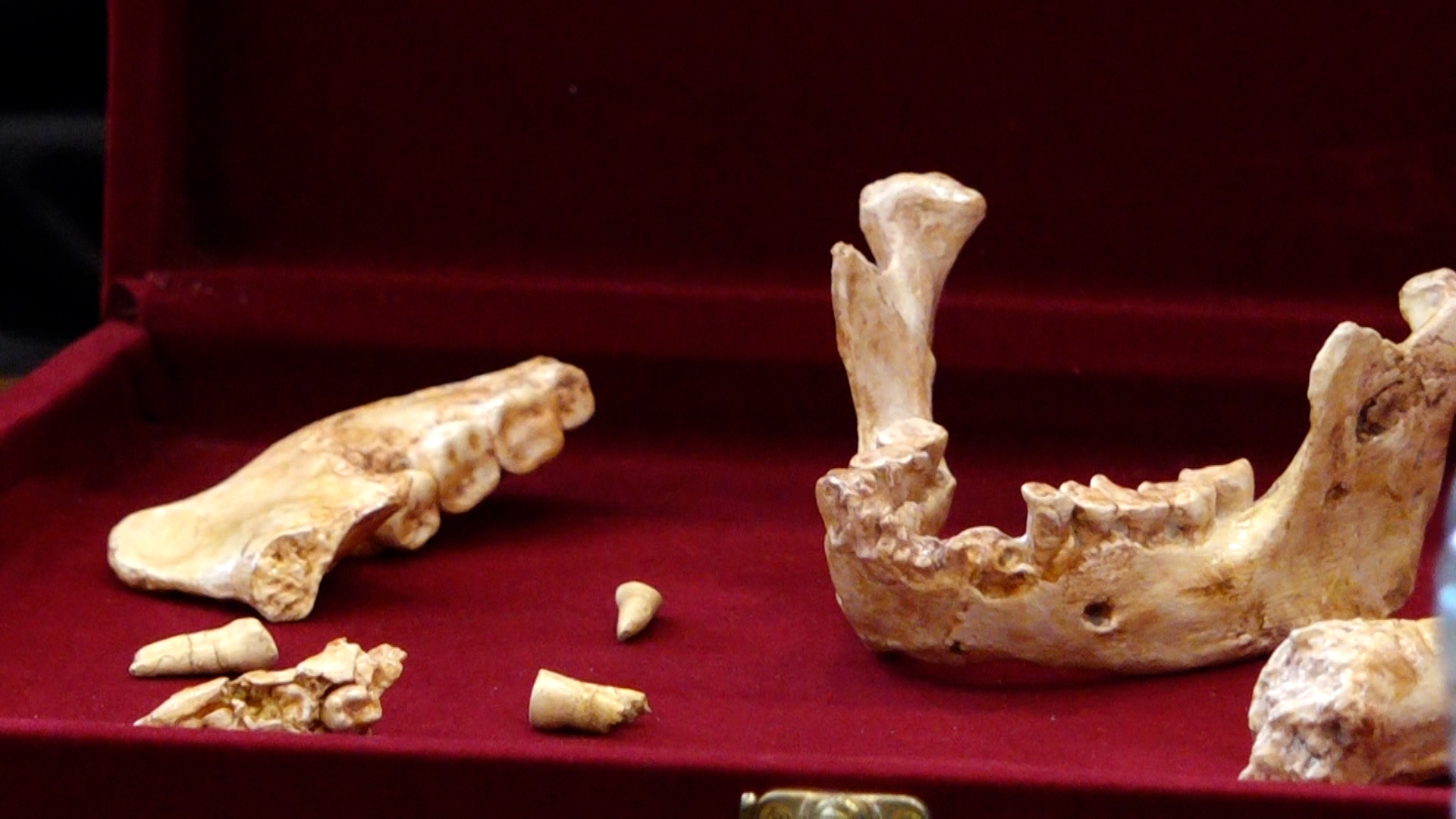 Société | Retrouvez toute l'actualité du Maroc et du monde, en temps réel, sur le premier site d'information francophone au Maroc : www.le360.ma