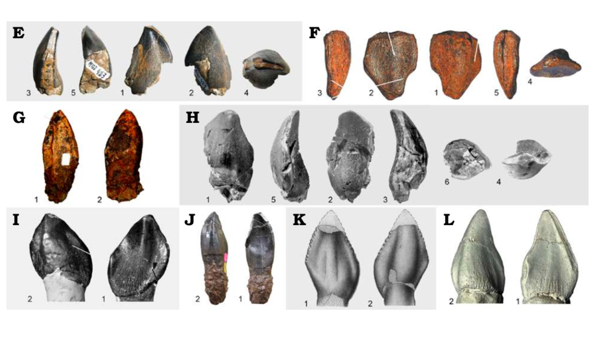 Culture | Retrouvez toute l'actualité du Maroc et du monde, en temps réel, sur le premier site d'information francophone au Maroc : www.le360.ma