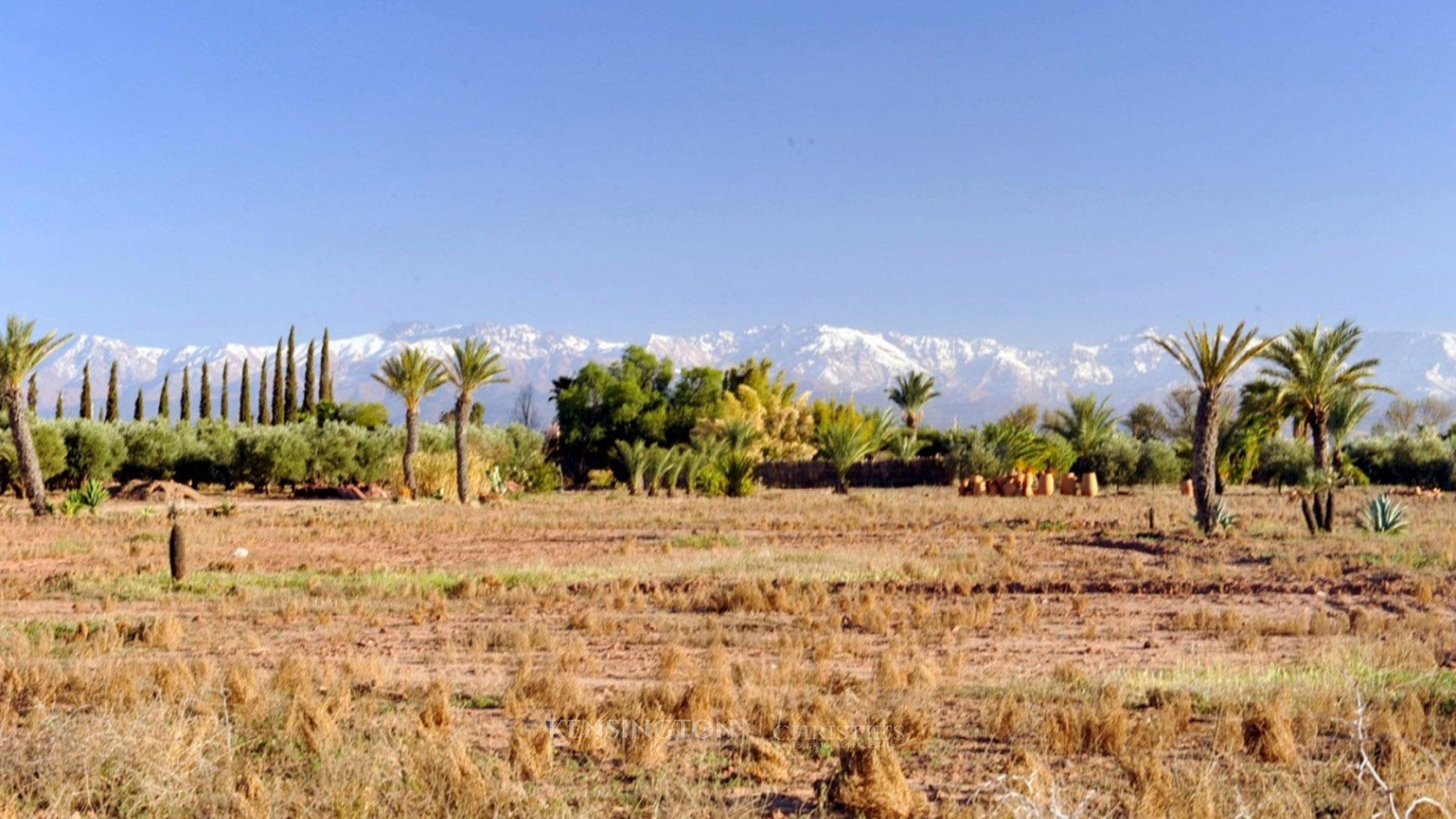 Société | Retrouvez toute l'actualité du Maroc et du monde, en temps réel, sur le premier site d'information francophone au Maroc : www.le360.ma