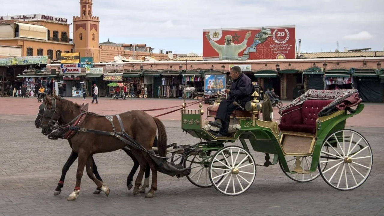 Economie | Retrouvez toute l'actualité du Maroc et du monde, en temps réel, sur le premier site d'information francophone au Maroc : www.le360.ma