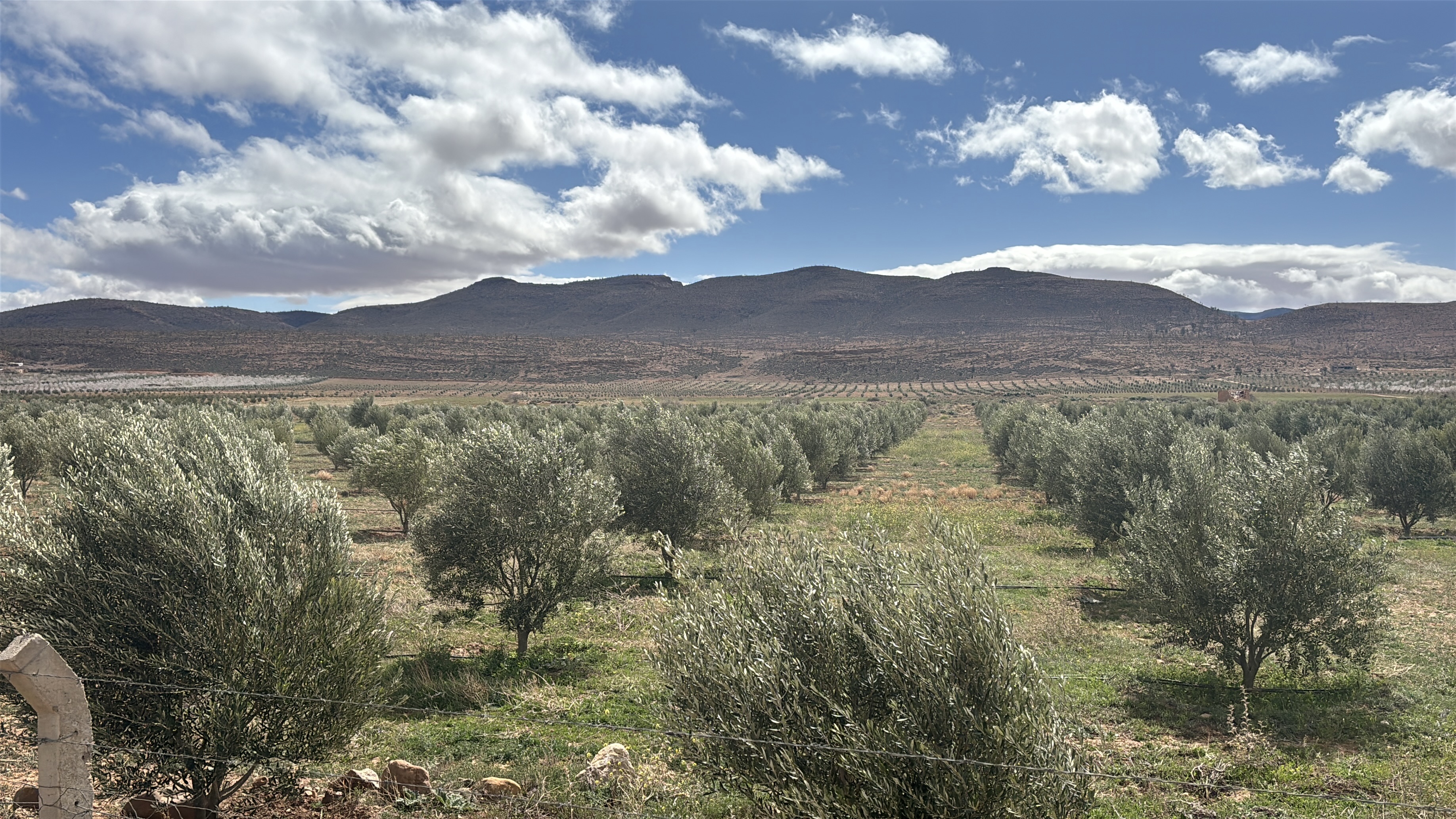 Economie | Retrouvez toute l'actualité du Maroc et du monde, en temps réel, sur le premier site d'information francophone au Maroc : www.le360.ma