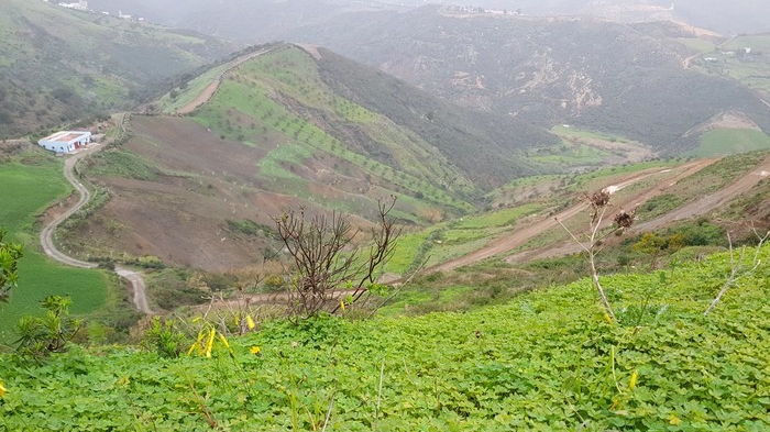 Culture | Retrouvez toute l'actualité du Maroc et du monde, en temps réel, sur le premier site d'information francophone au Maroc : www.le360.ma