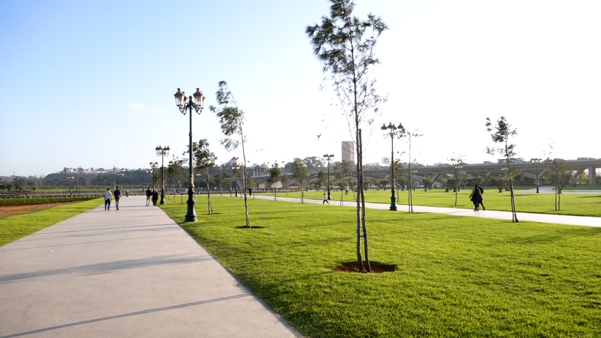 Société | Retrouvez toute l'actualité du Maroc et du monde, en temps réel, sur le premier site d'information francophone au Maroc : www.le360.ma