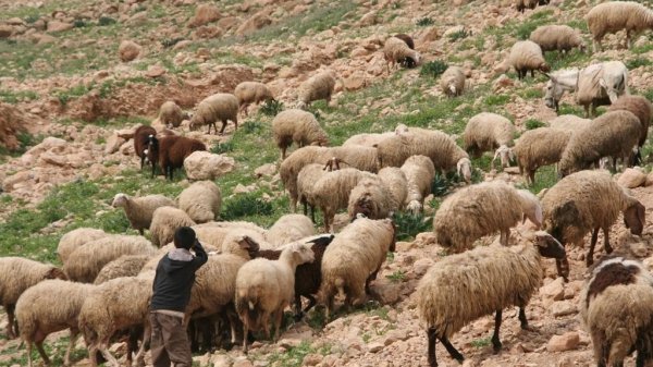 Société | Retrouvez toute l'actualité du Maroc et du monde, en temps réel, sur le premier site d'information francophone au Maroc : www.le360.ma