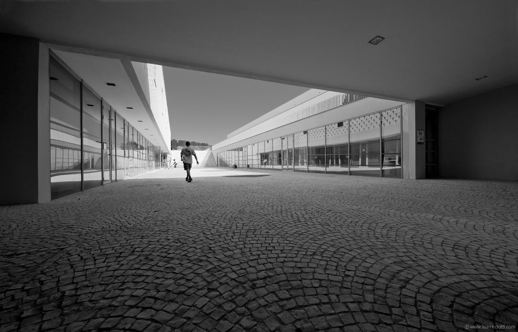 Société | Retrouvez toute l'actualité du Maroc et du monde, en temps réel, sur le premier site d'information francophone au Maroc : www.le360.ma