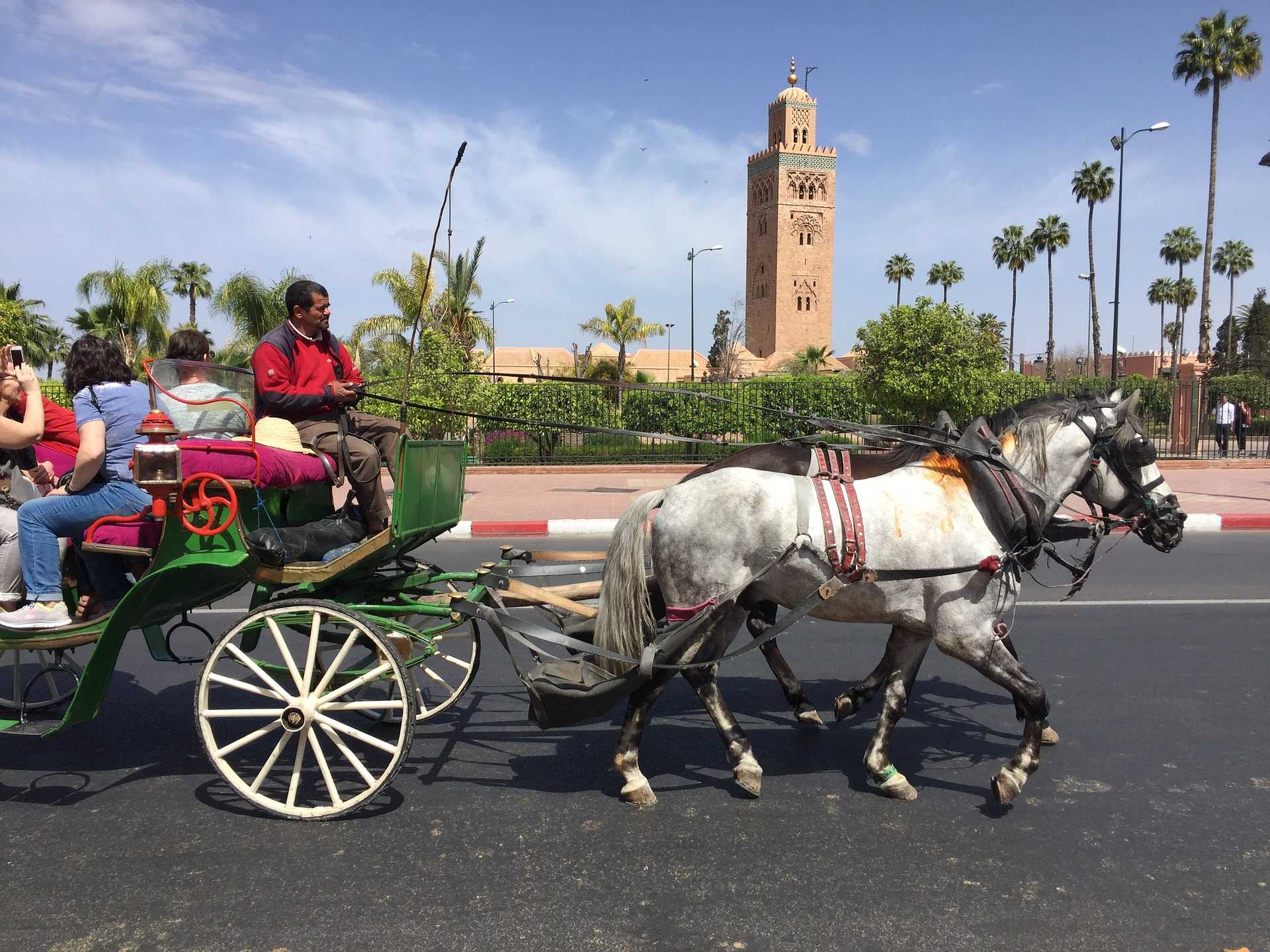 Economie | Retrouvez toute l'actualité du Maroc et du monde, en temps réel, sur le premier site d'information francophone au Maroc : www.le360.ma